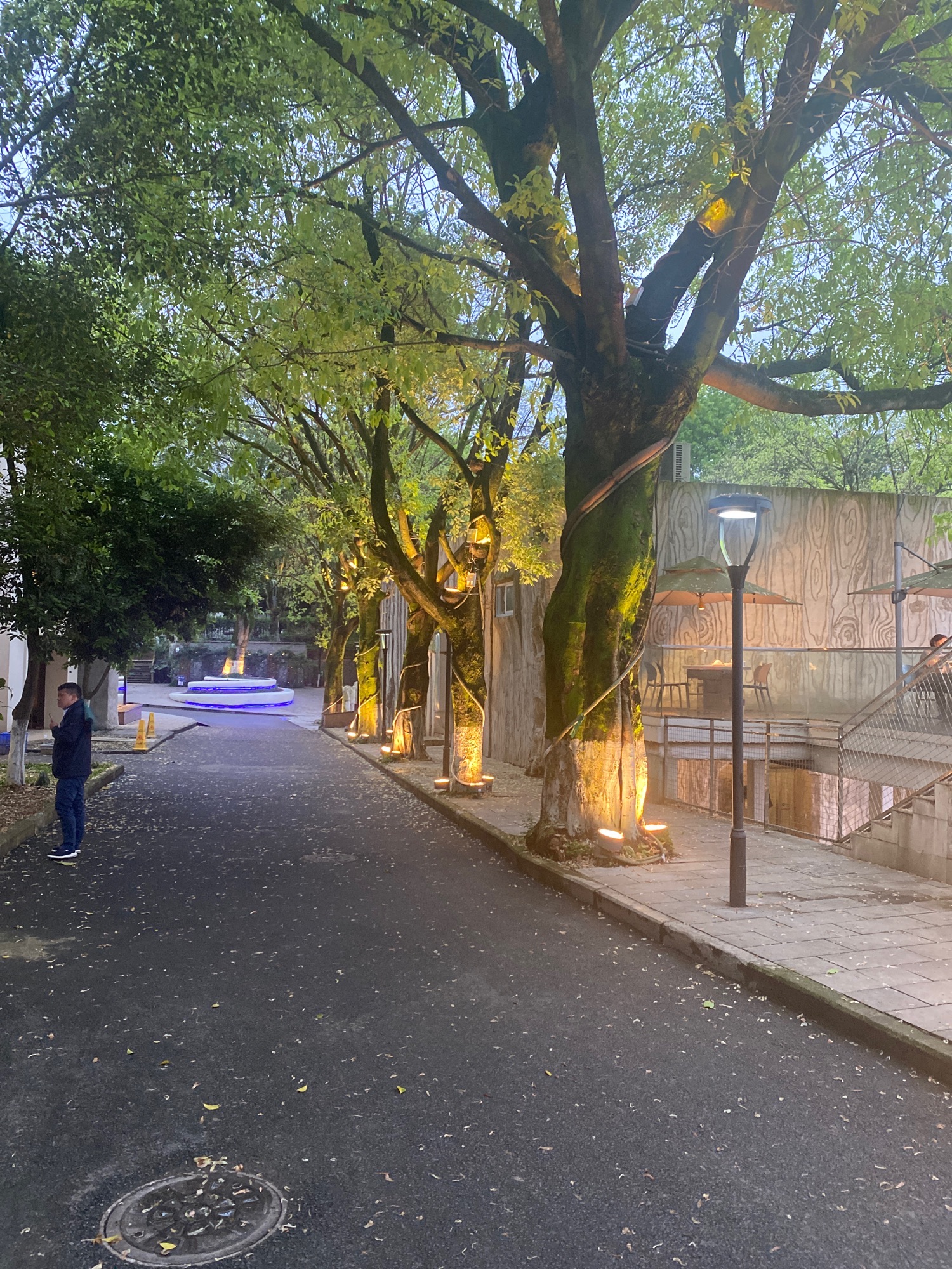 去南山夜景火锅观景台旅行图片 3