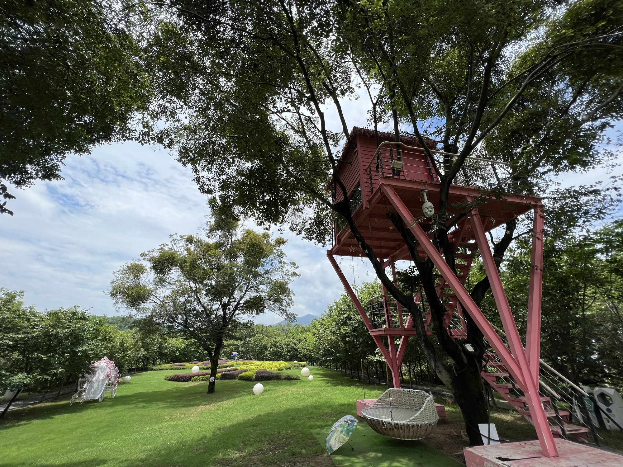 鲤鱼洲樱花岛旅行图片 1