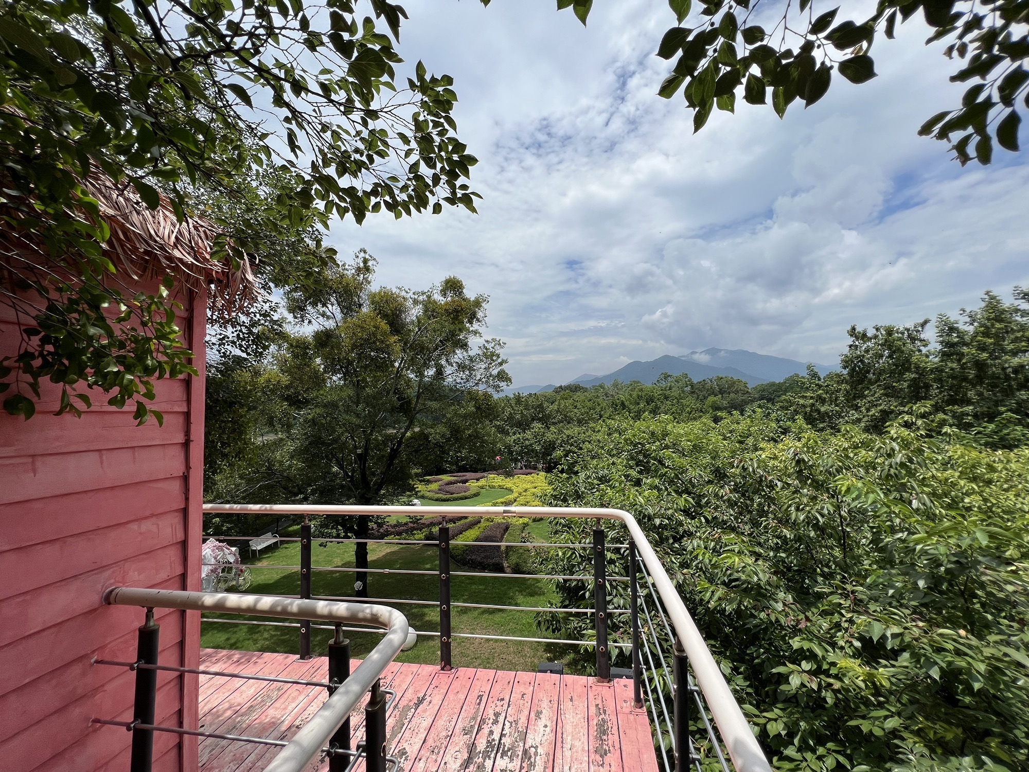 鲤鱼洲樱花岛旅行图片 2