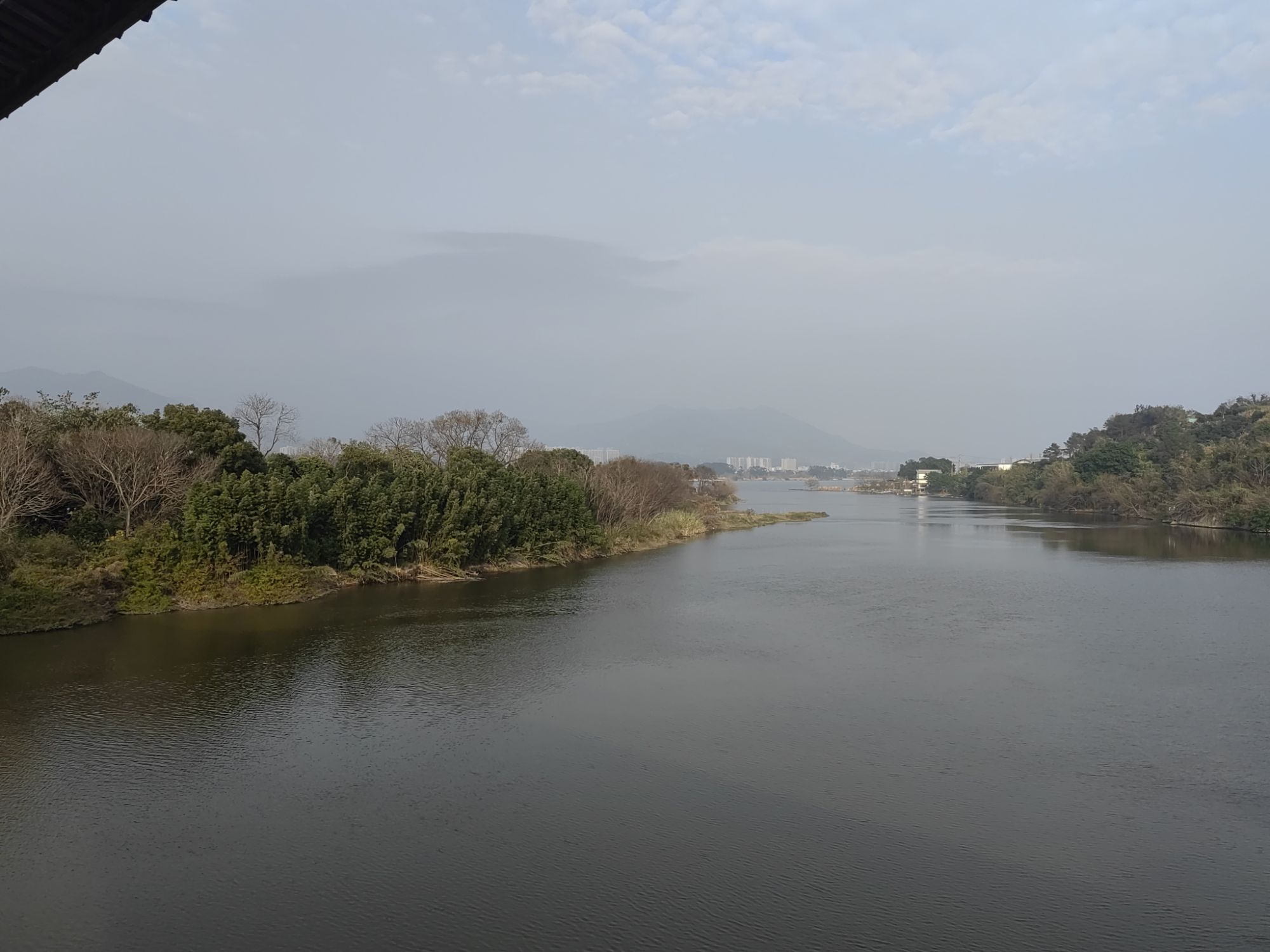 鲤鱼洲樱花岛旅行图片 1