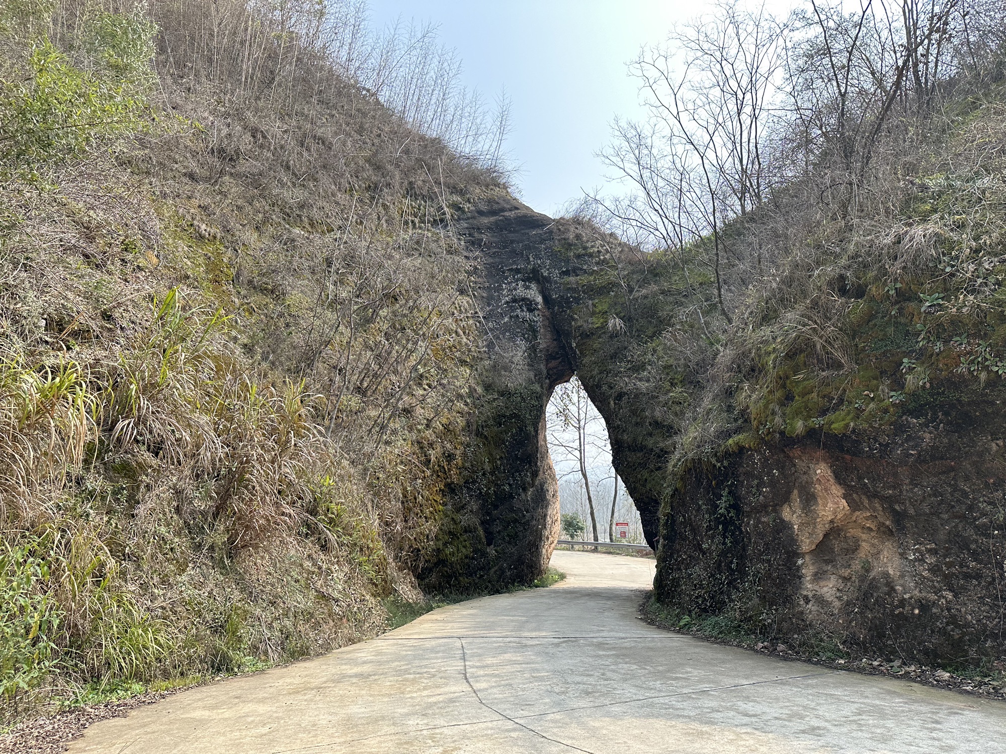 顾母门旅行图片 3