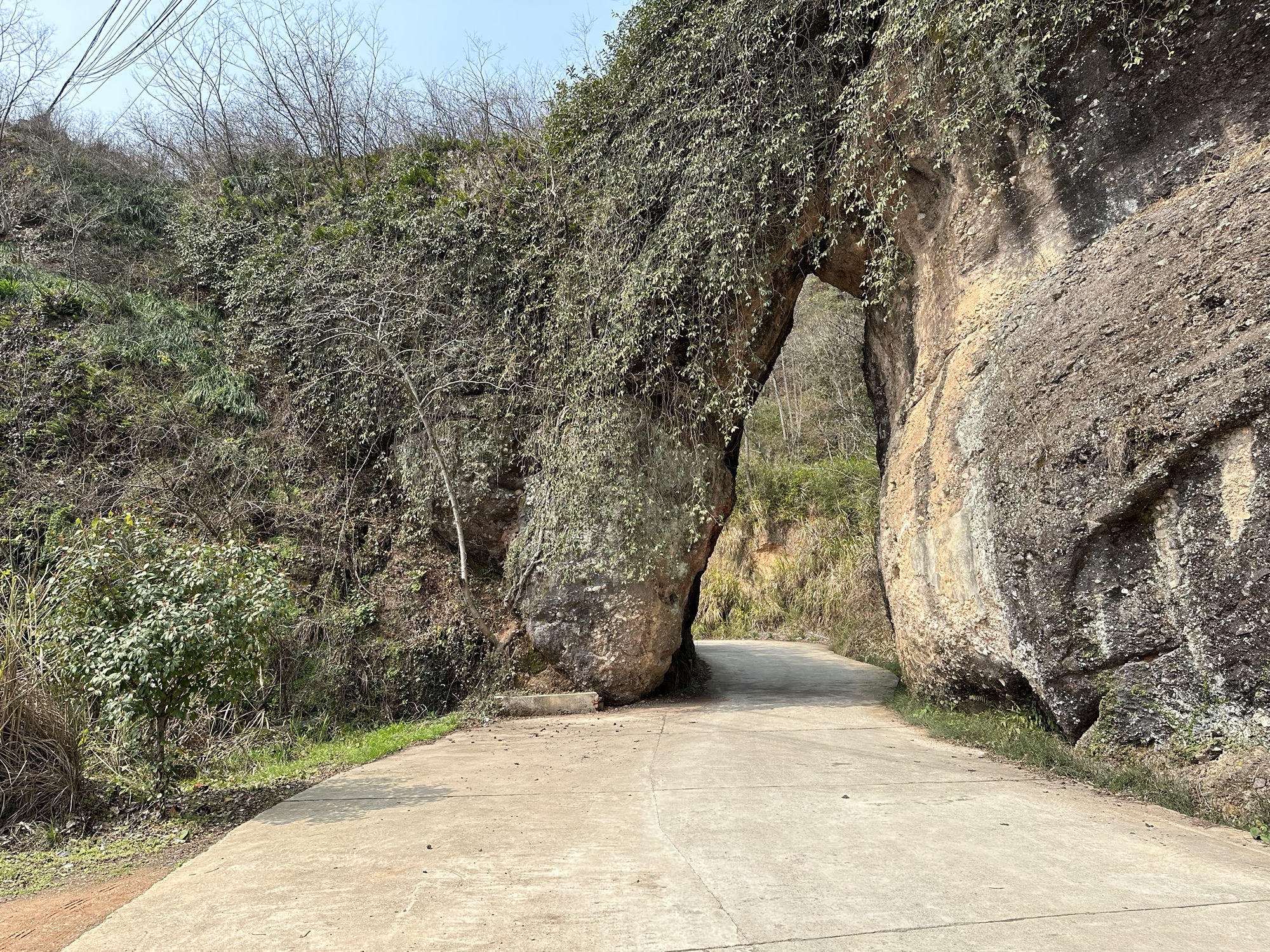 顾母门旅行图片 2