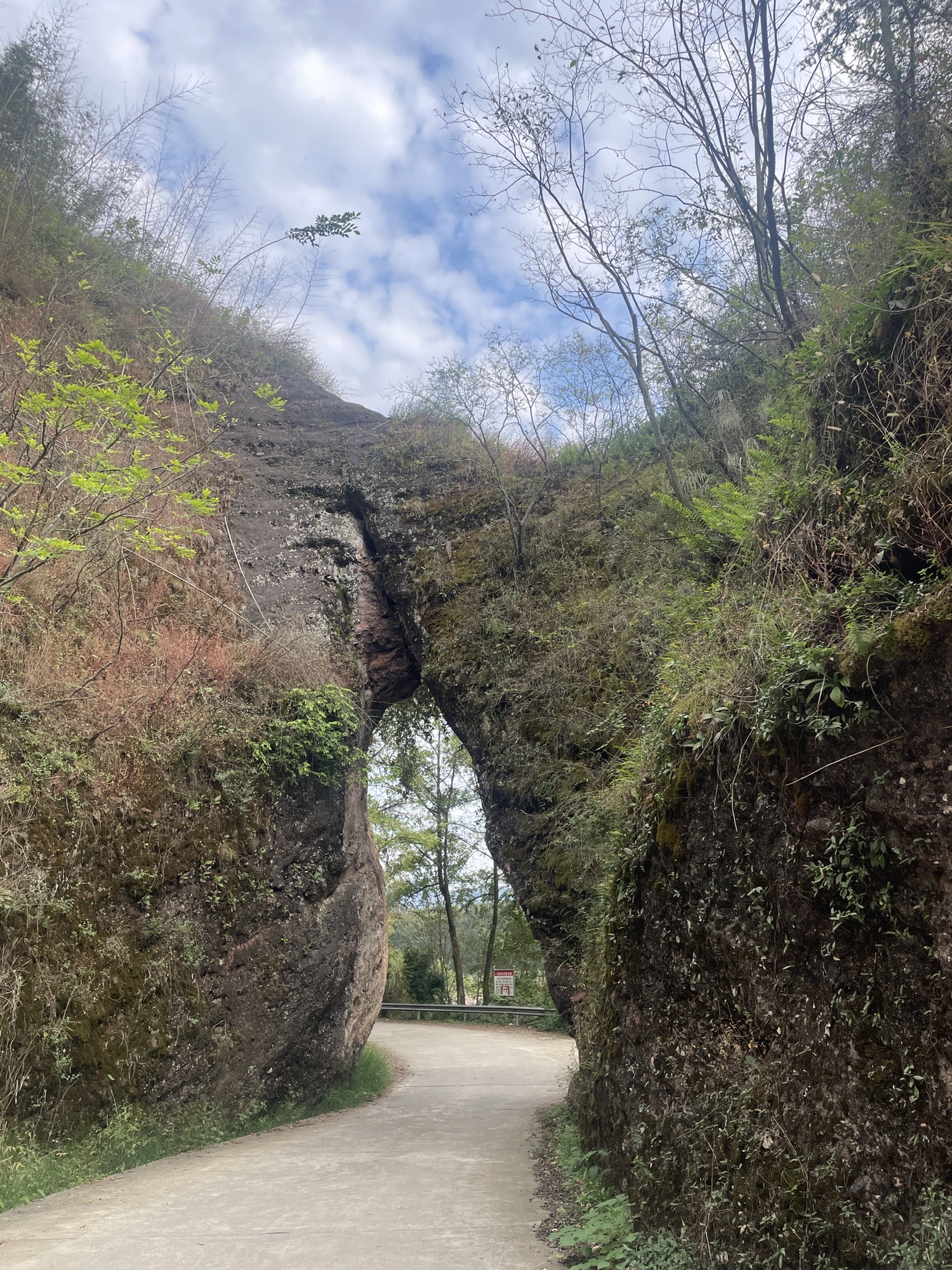 顾母门旅行图片 1