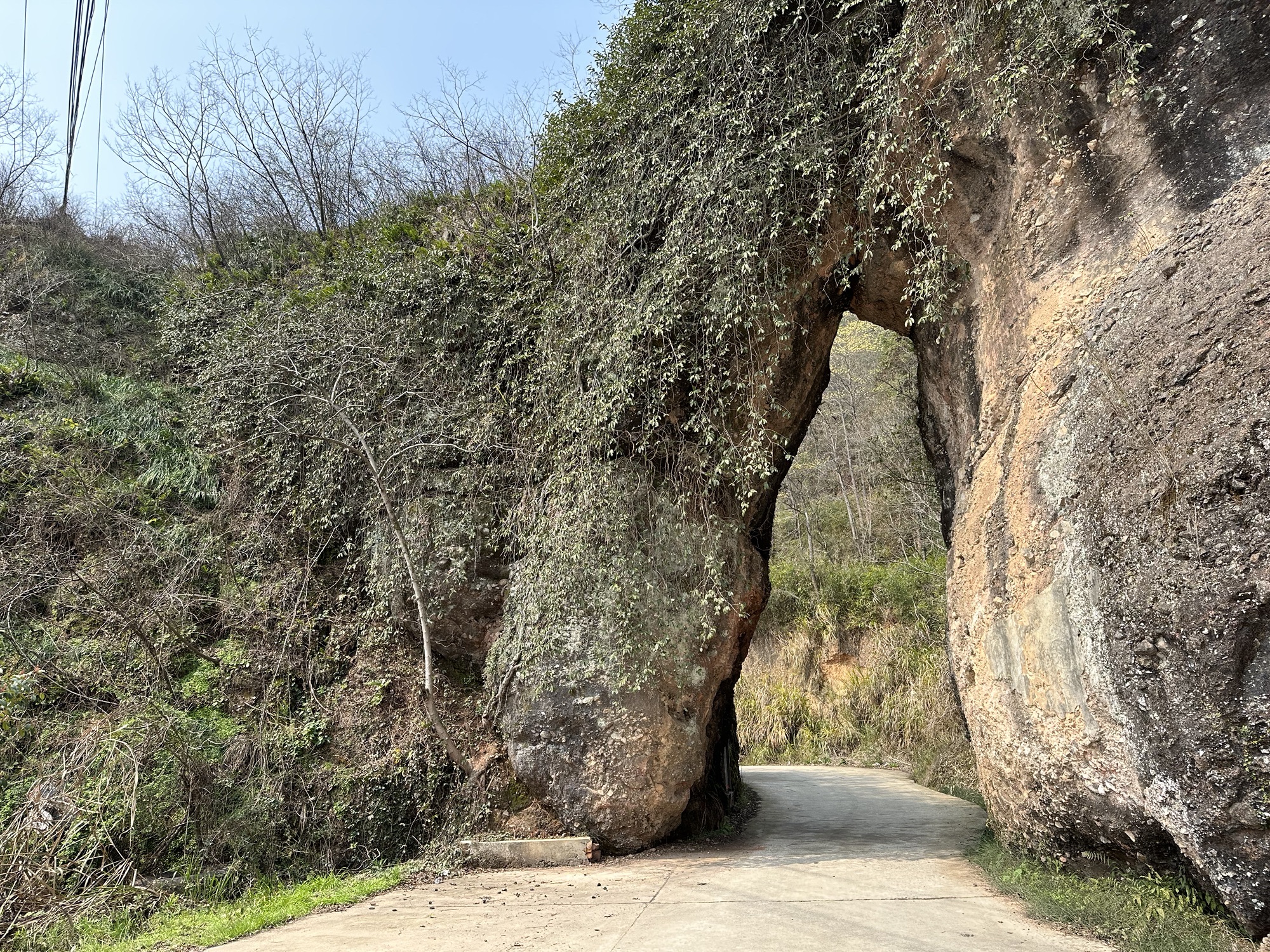 顾母门旅行图片 1