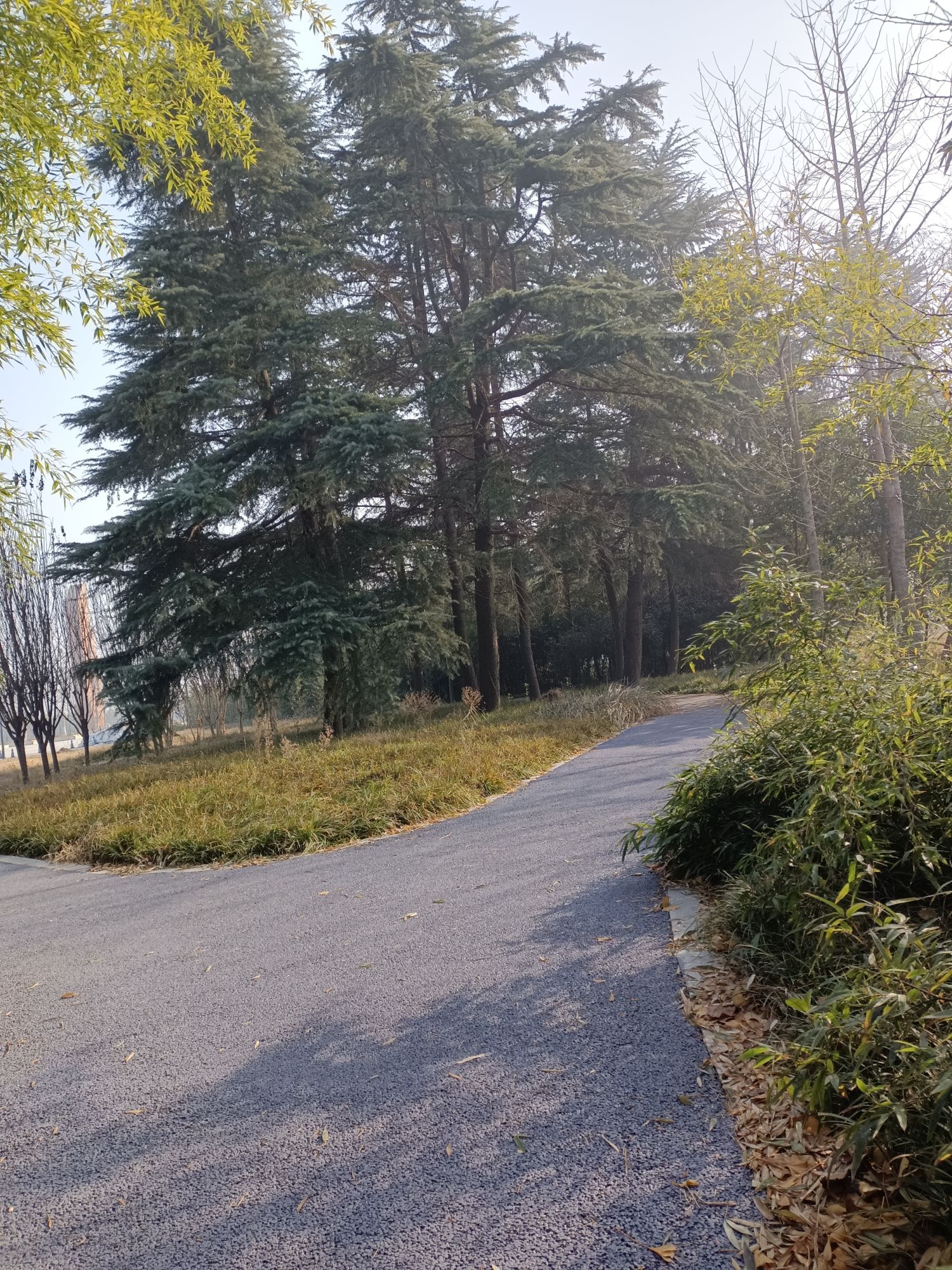 安城湖公园旅行图片 2