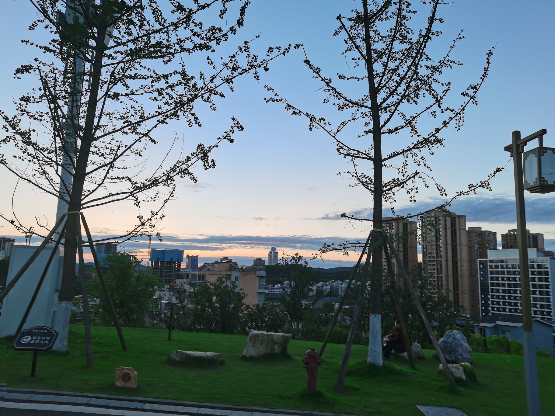 舞凤山公园旅行图片 3