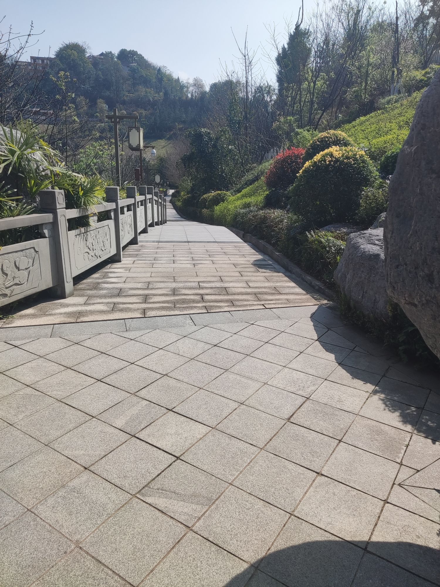 舞凤山公园旅行图片 1