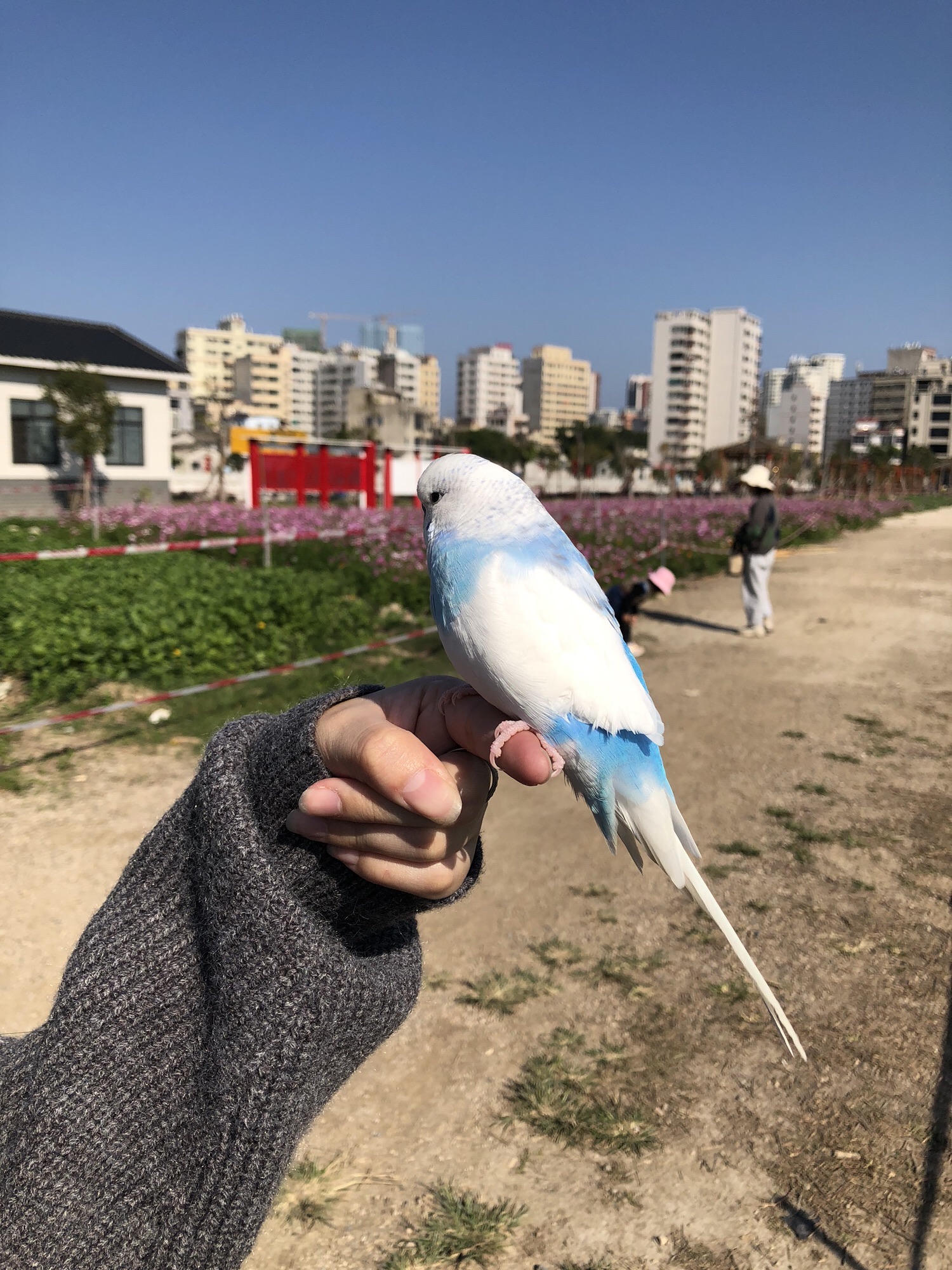 池湖公园旅行图片 1