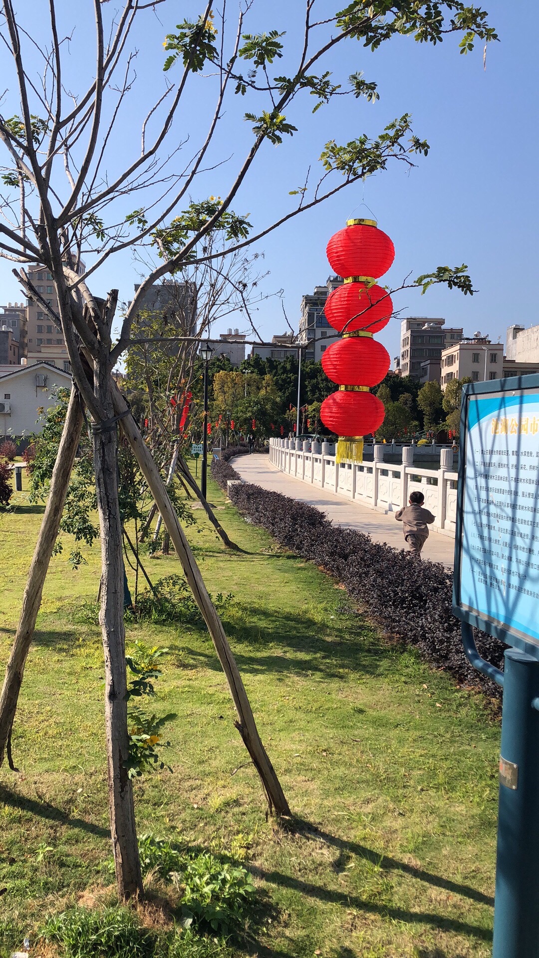 池湖公园旅行图片 2