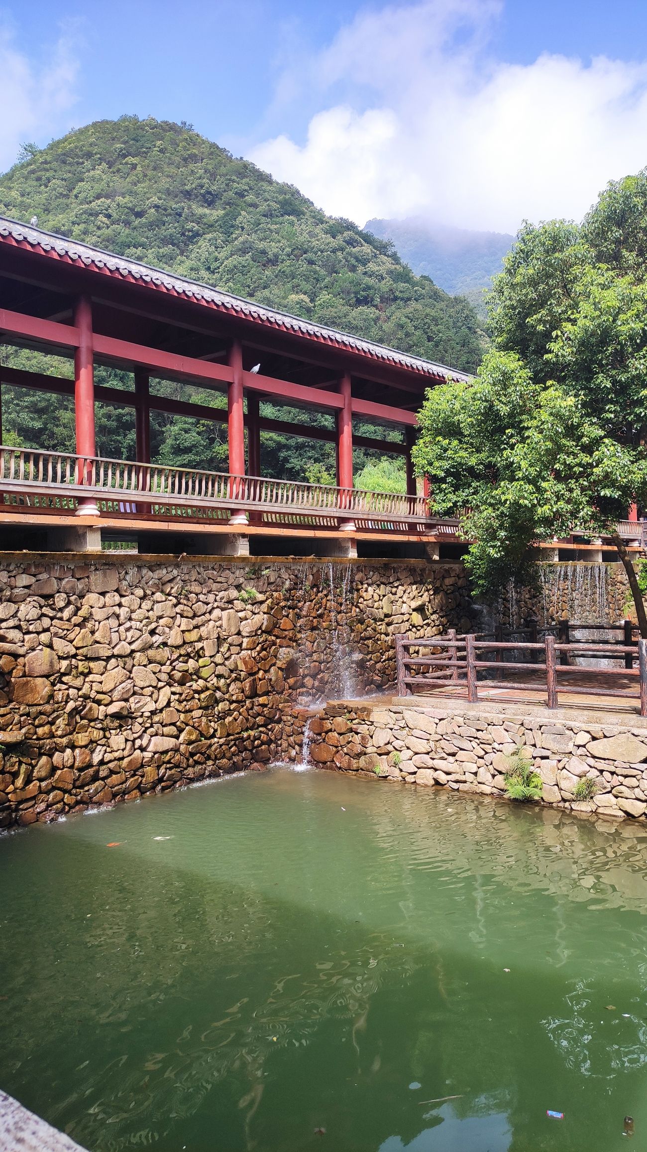 金龙山景区旅行图片 3