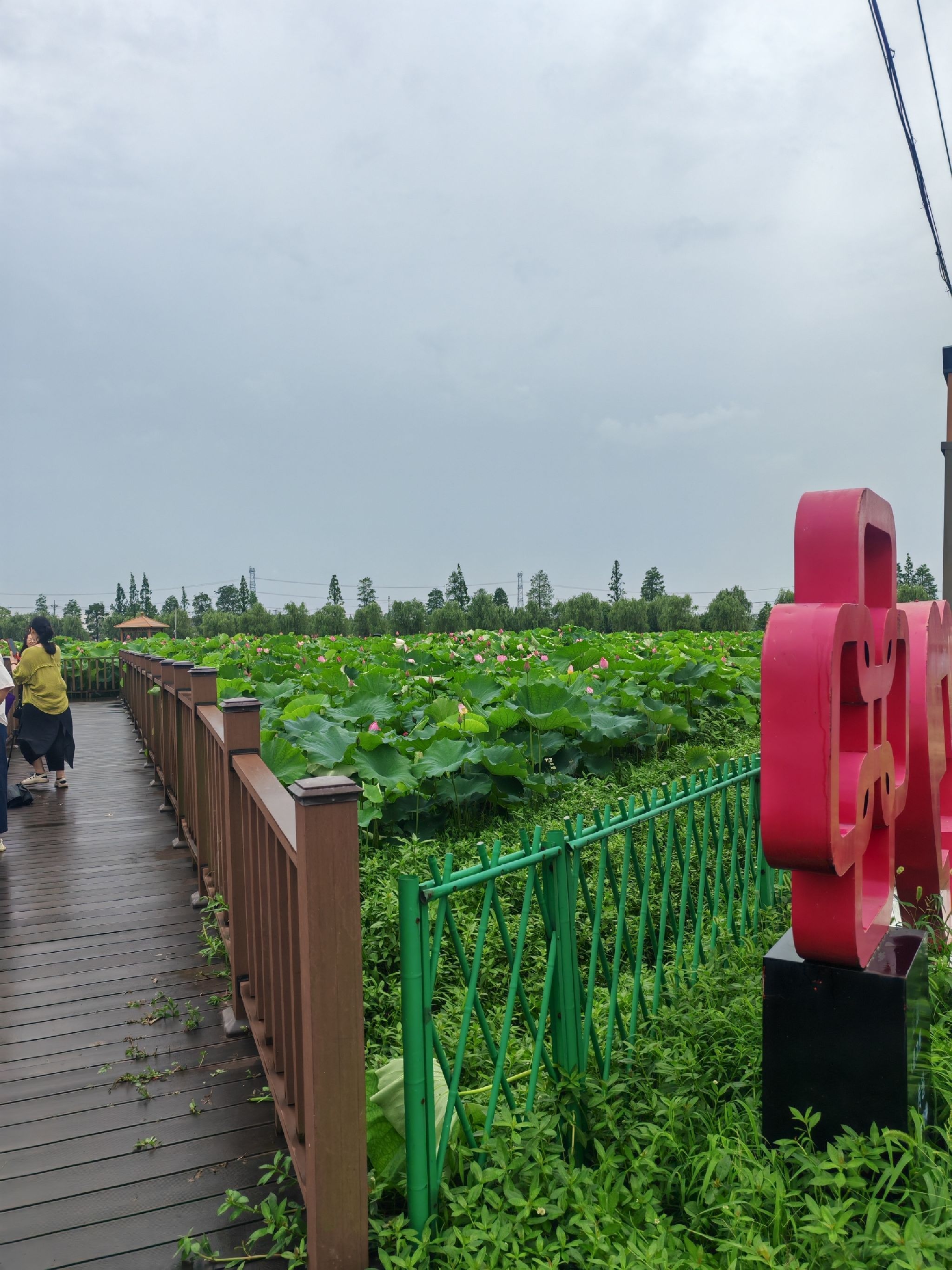 双凤勤力子廉园旅行图片 1