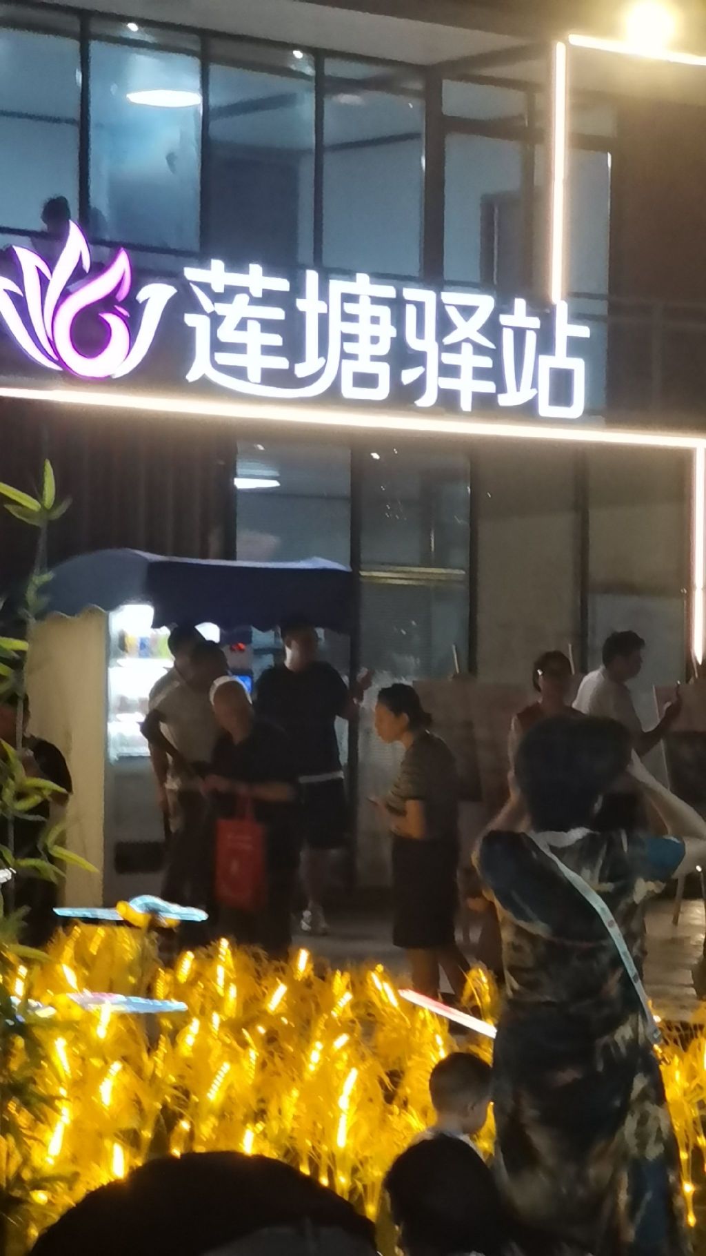 双凤勤力子廉园旅行图片 1