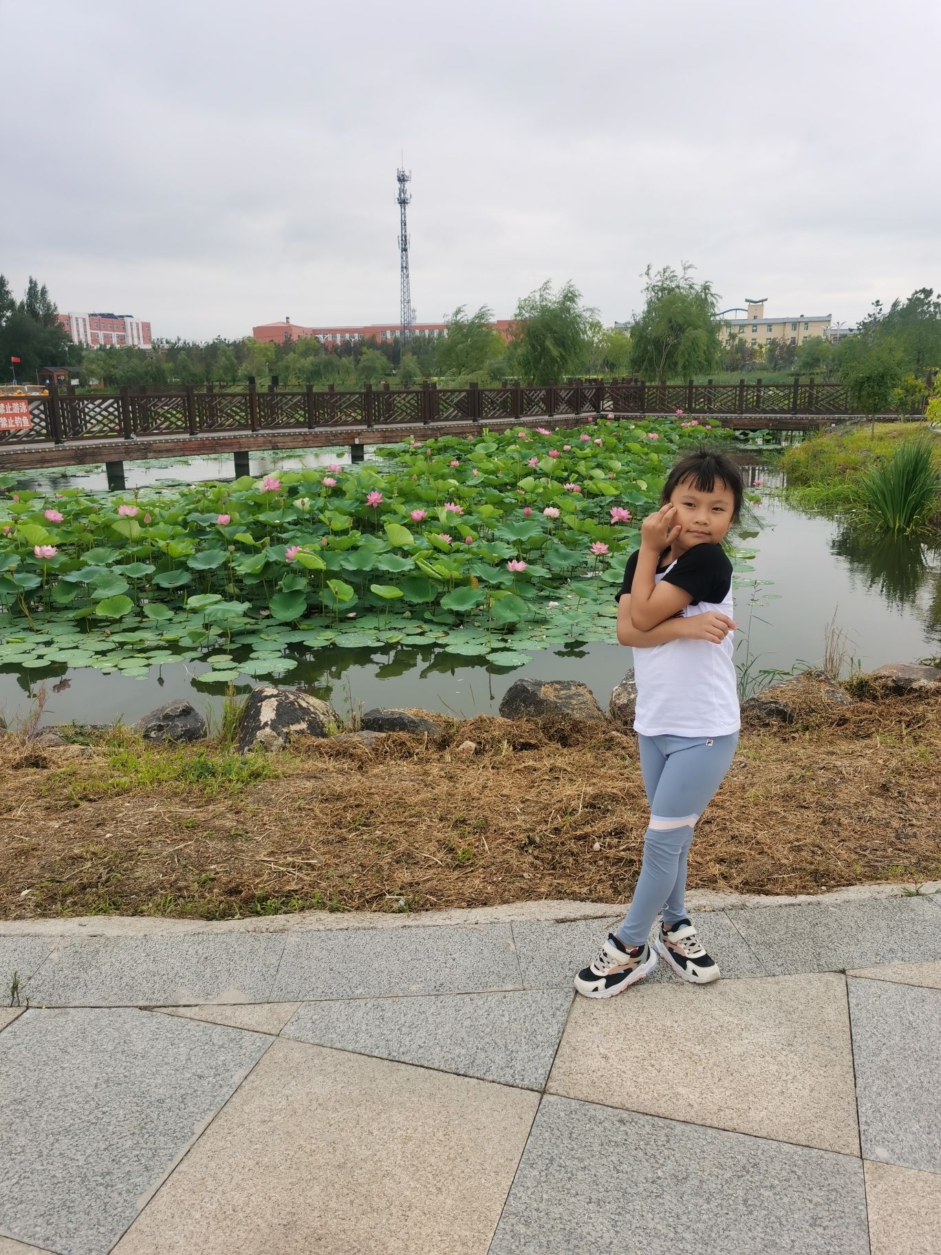 萝北凤栖湖公园旅行图片 1