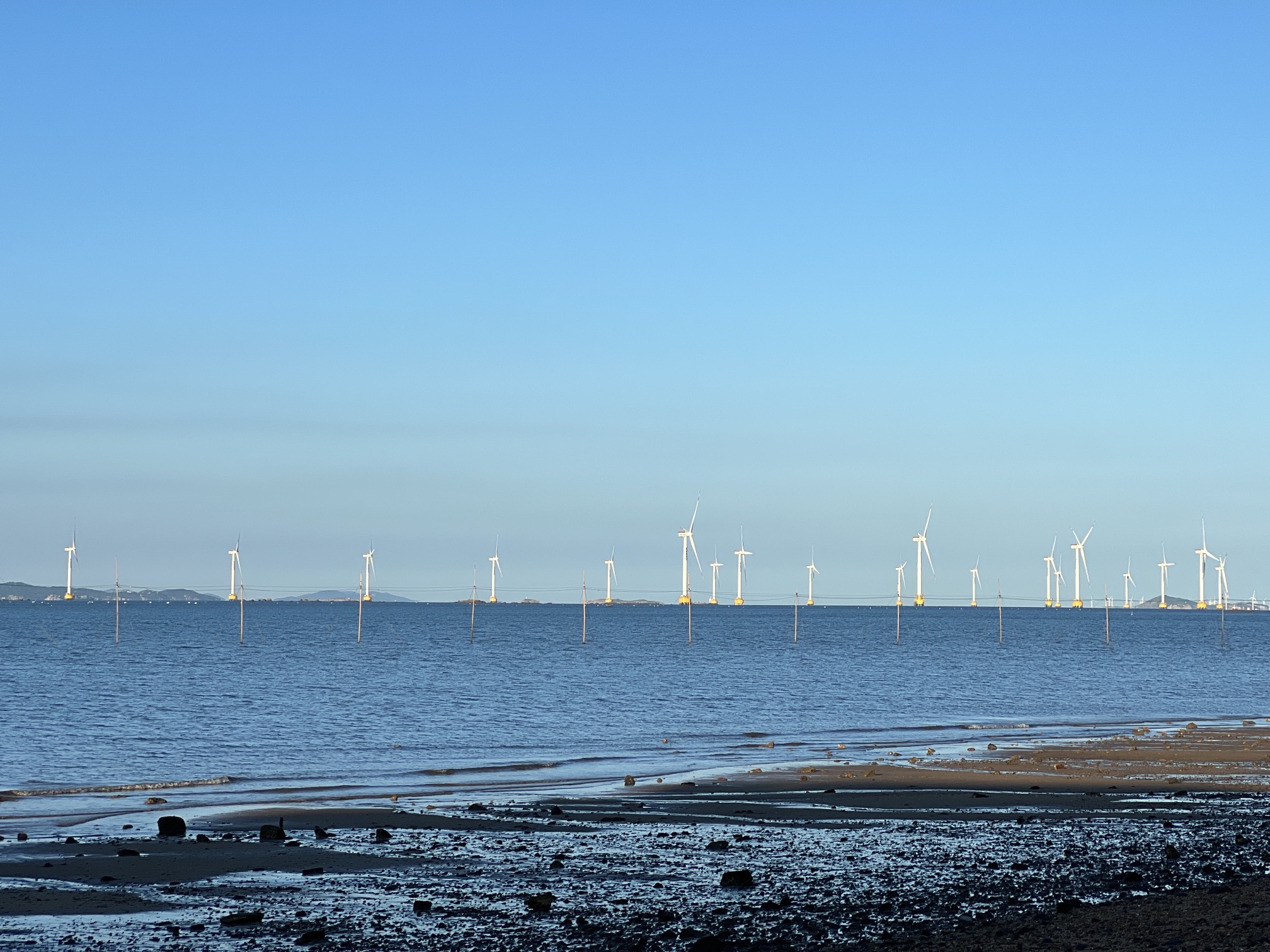 平海赤哆海滩旅行图片 3