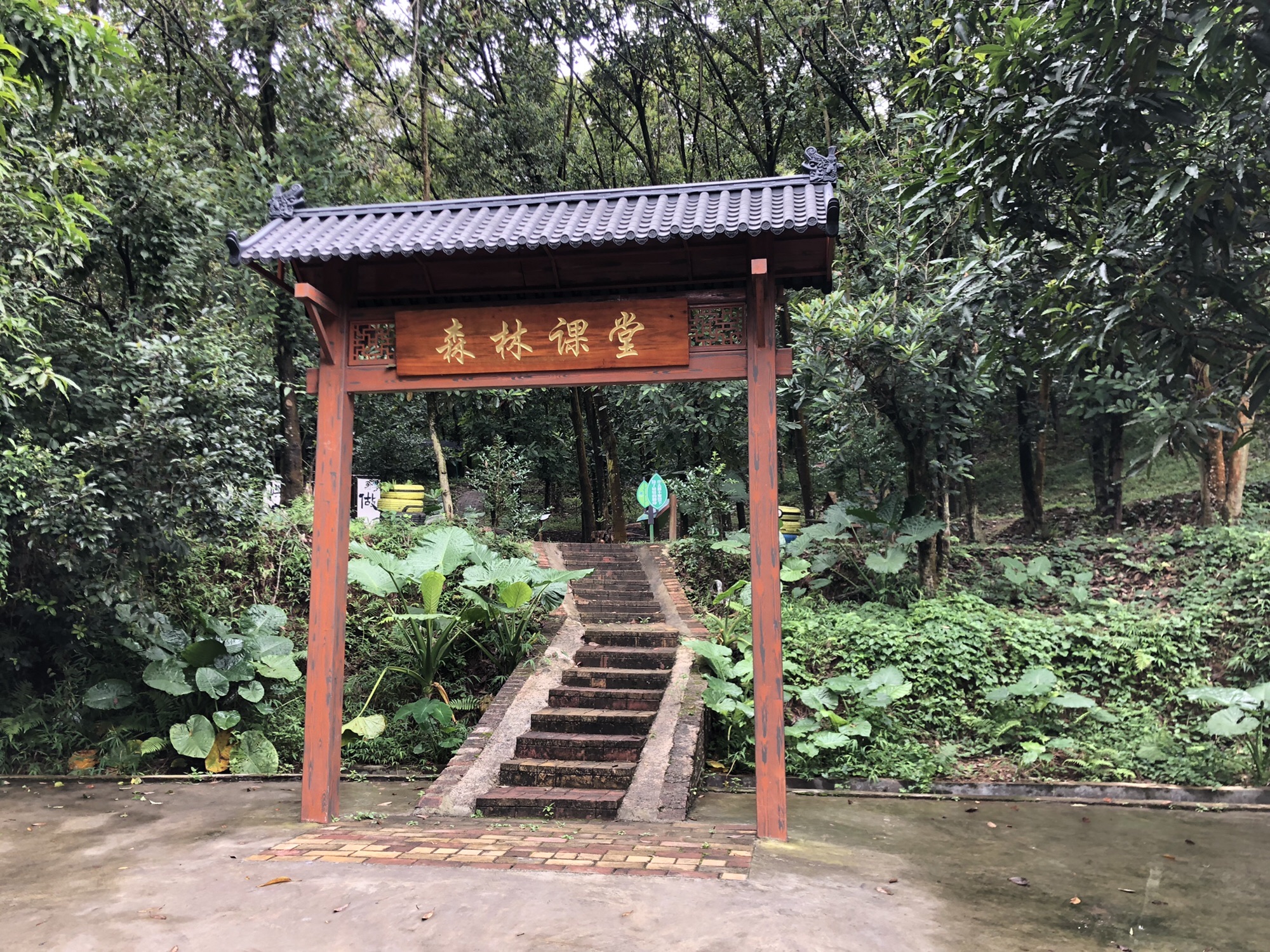广东省森林生态综合示范园东江园区旅行图片 1