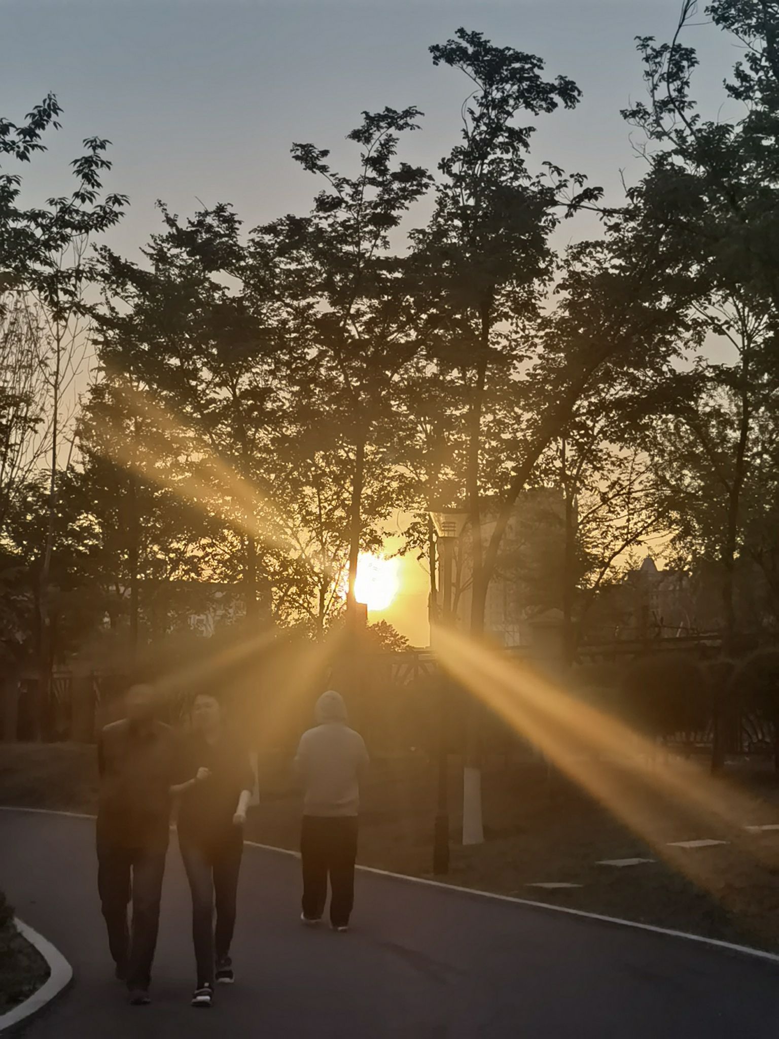 鲁商体育公园旅行图片 3
