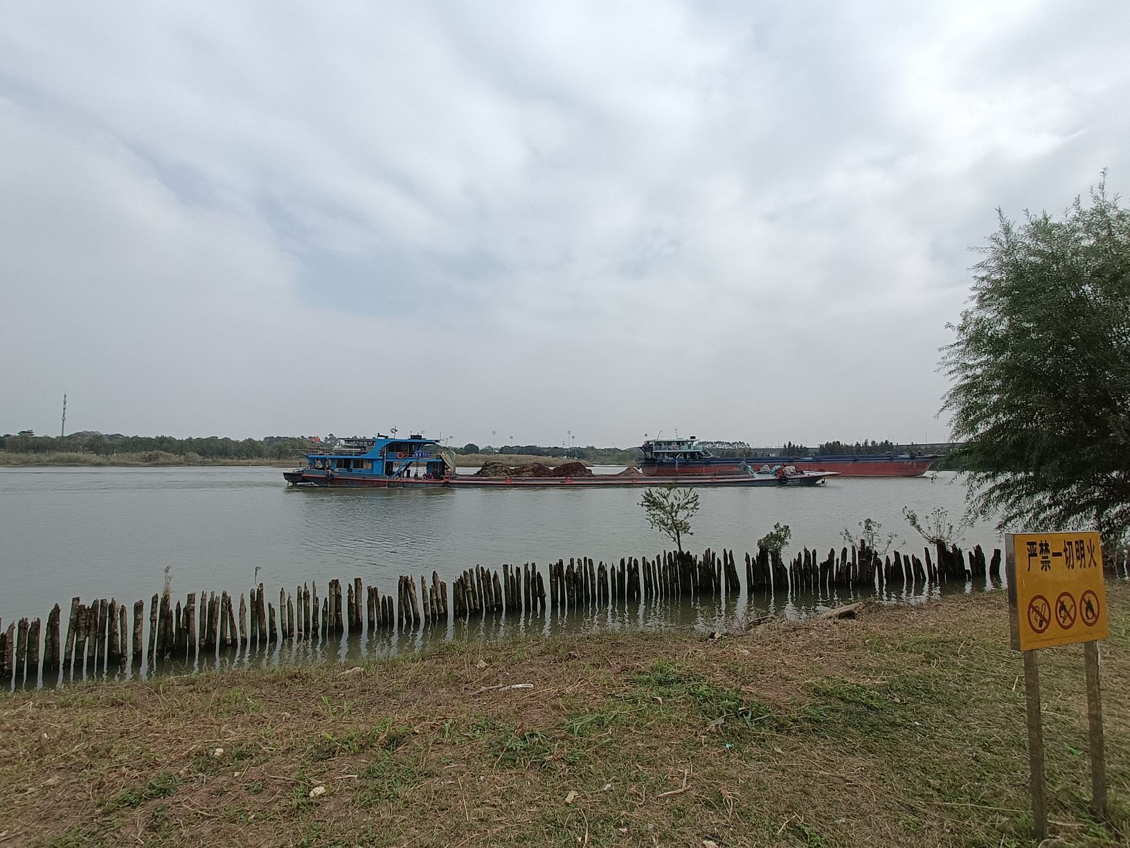 佛山青年公园旅行图片 2
