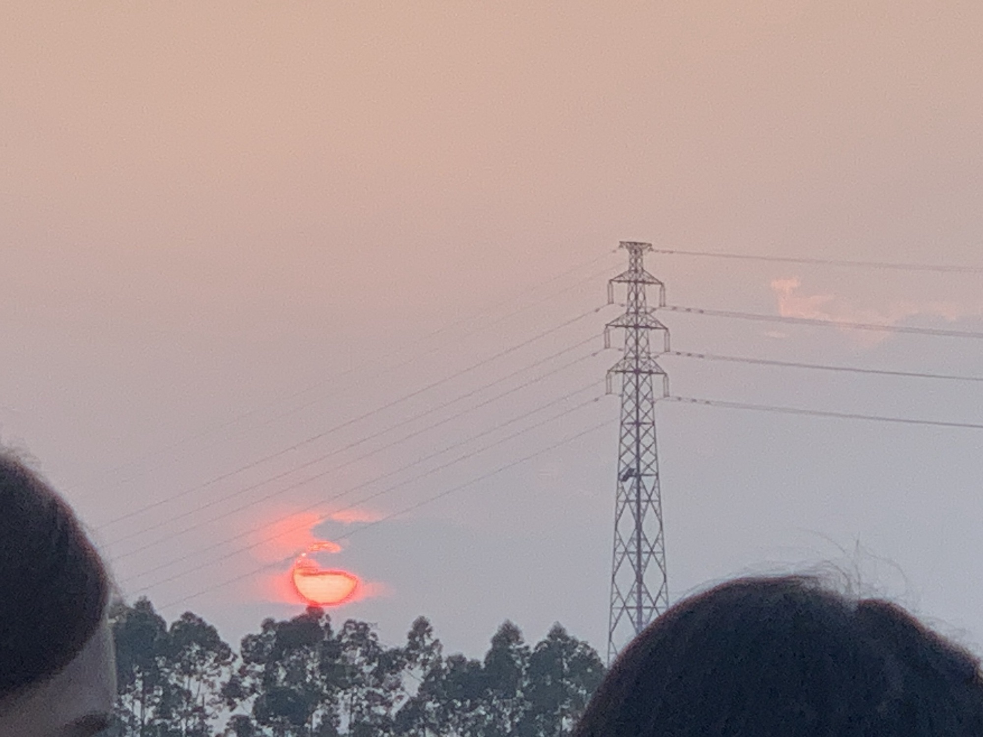 佛山青年公园旅行图片 2