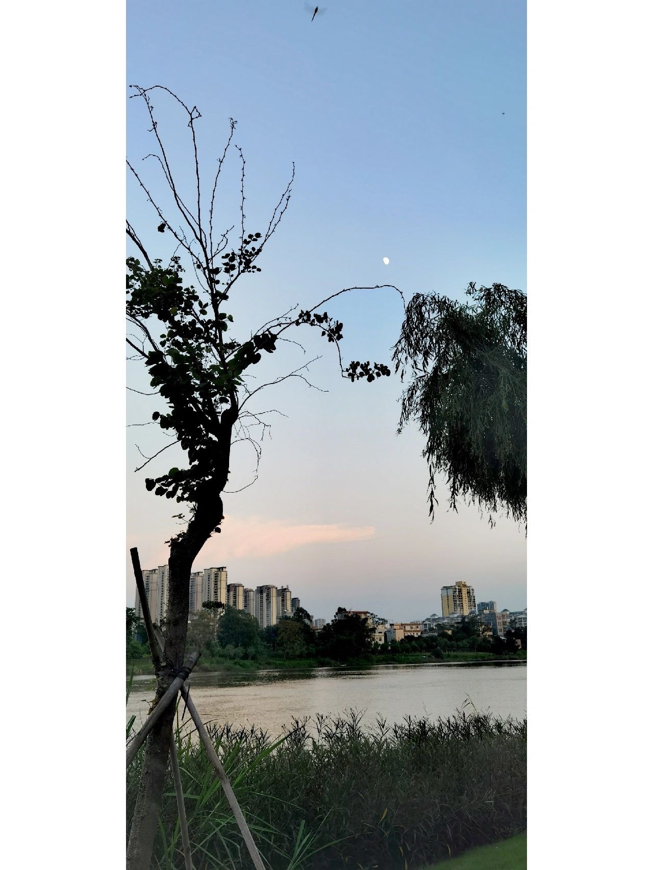 钦州宋城墙遗址公园旅行图片 1