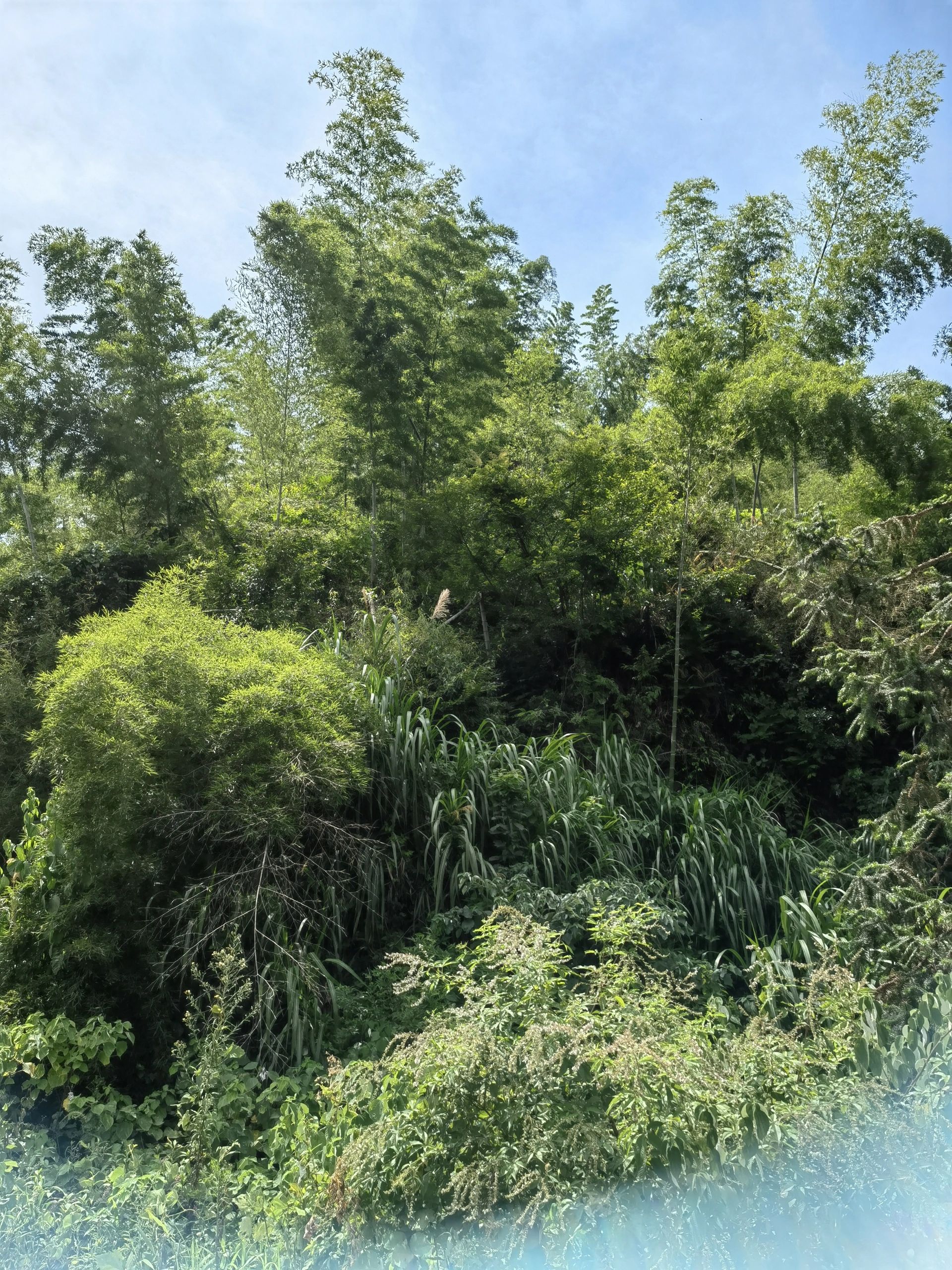 红军洞旅行图片 3