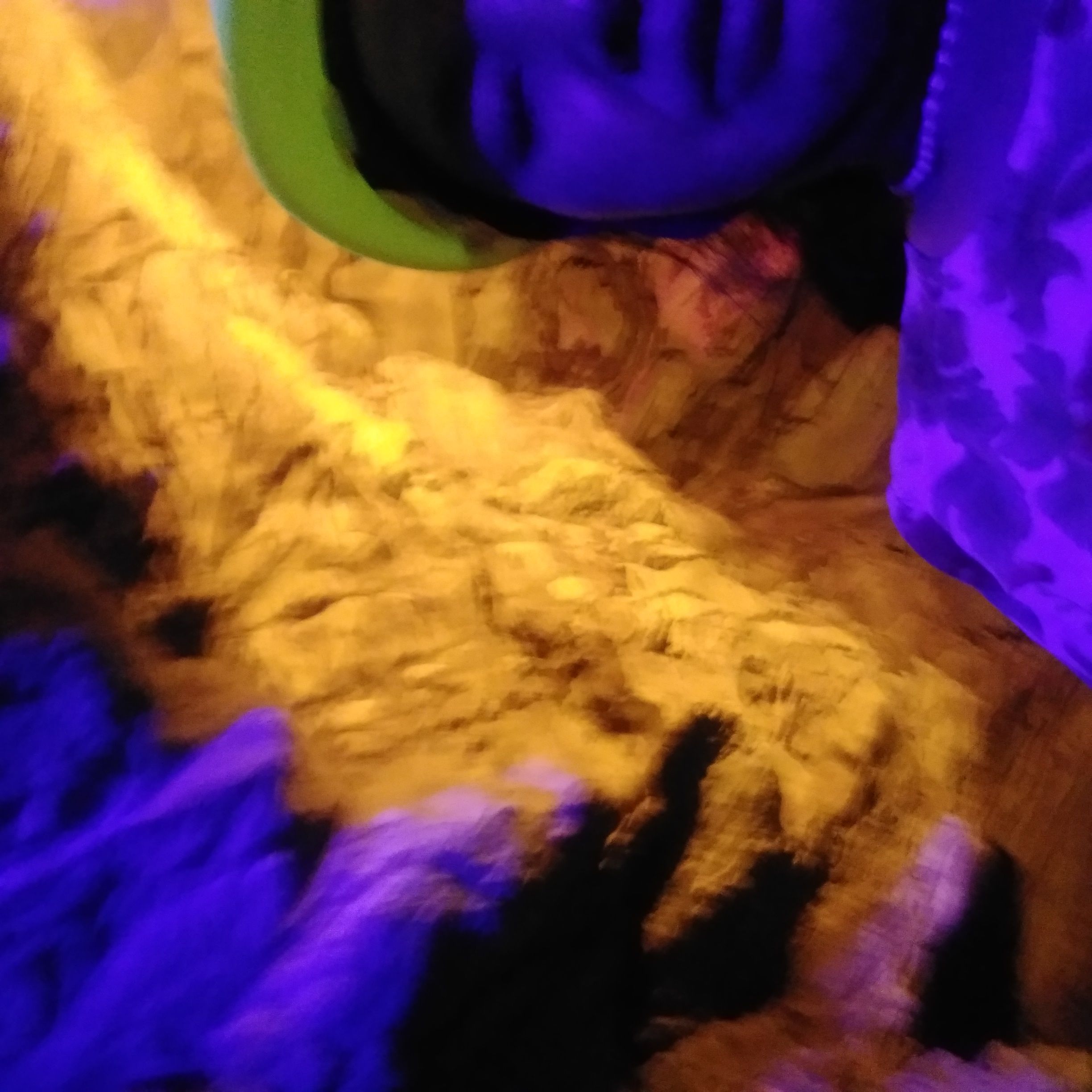 红军洞旅行图片 2