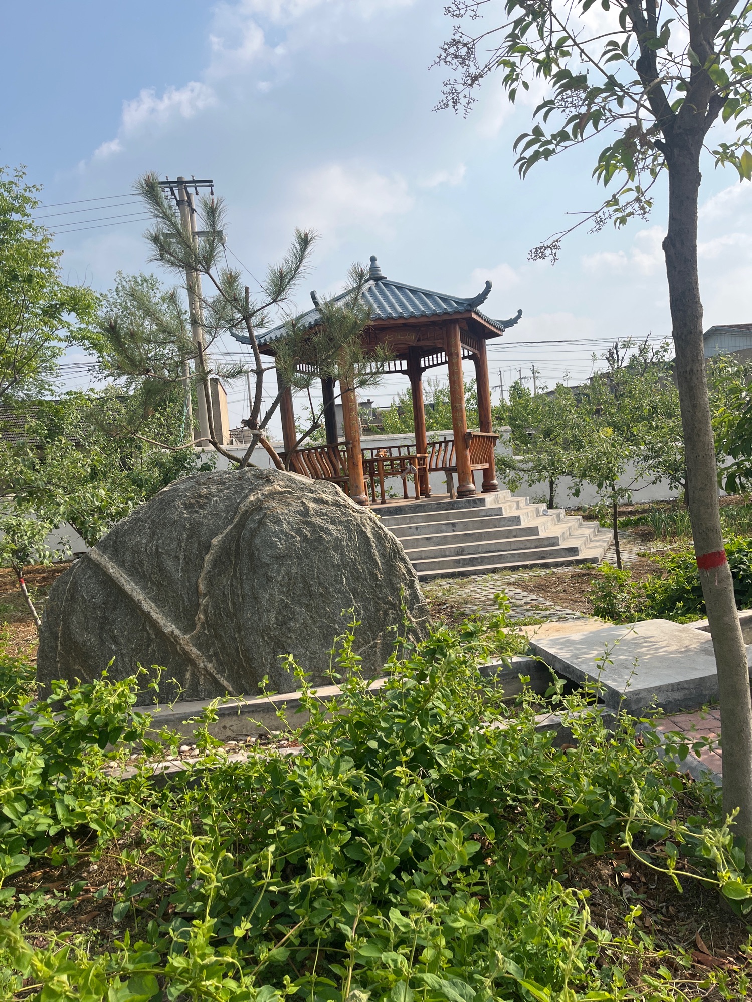七星阁旅行图片 1
