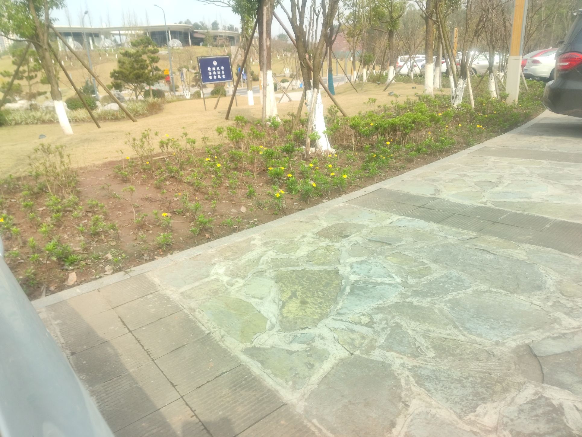 流光湖公园旅行图片 1