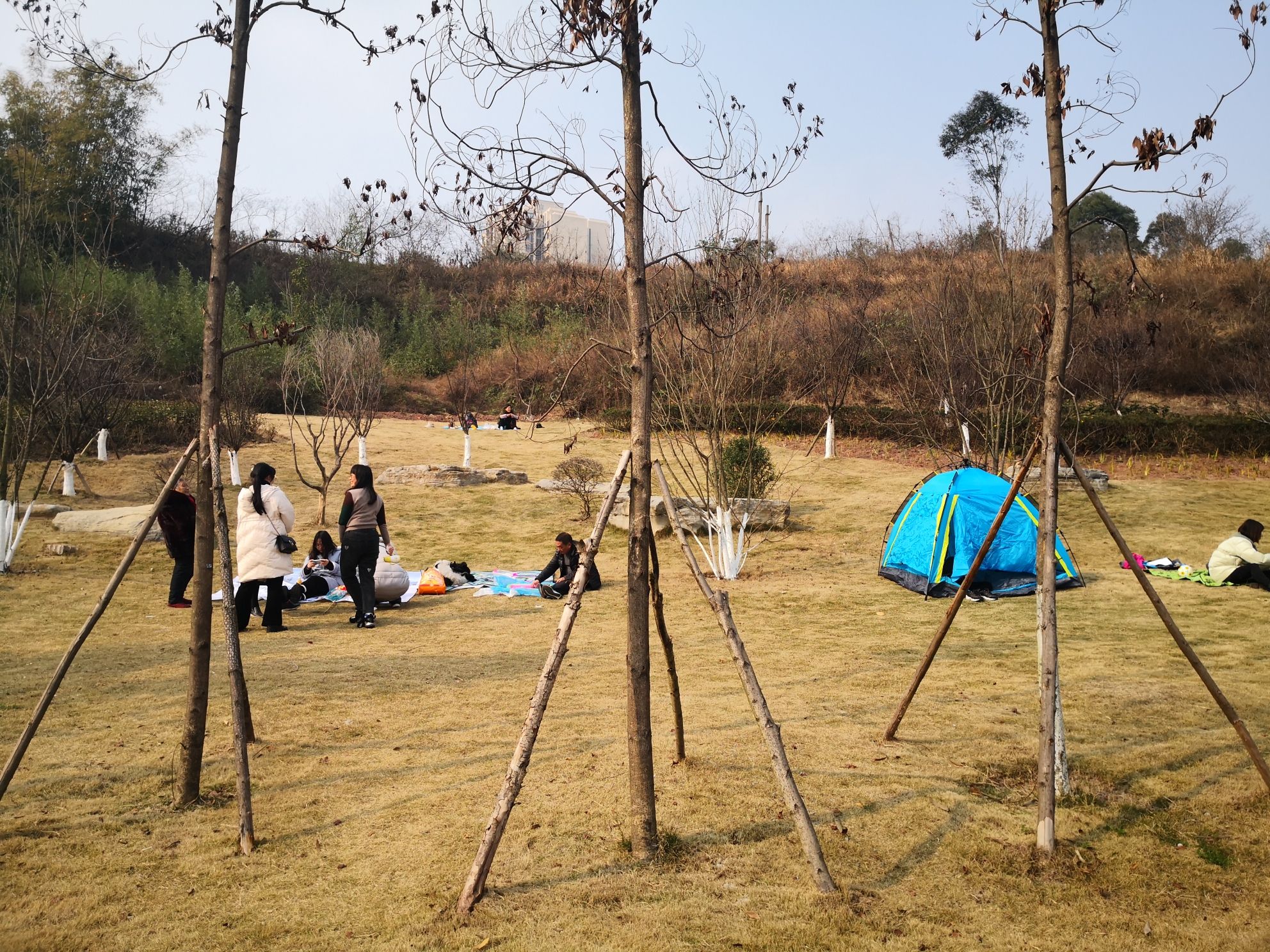 流光湖公园旅行图片 3