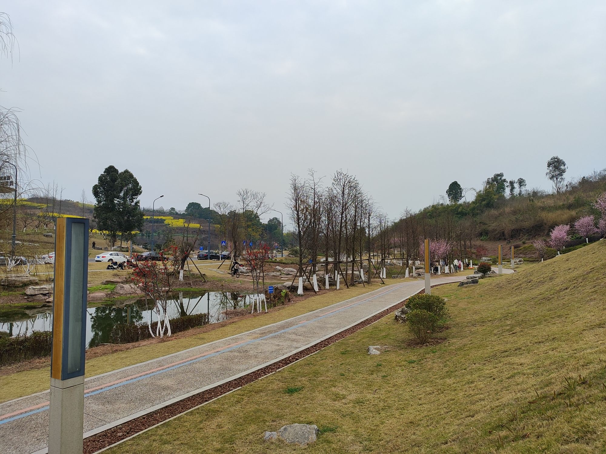 流光湖公园旅行图片 1