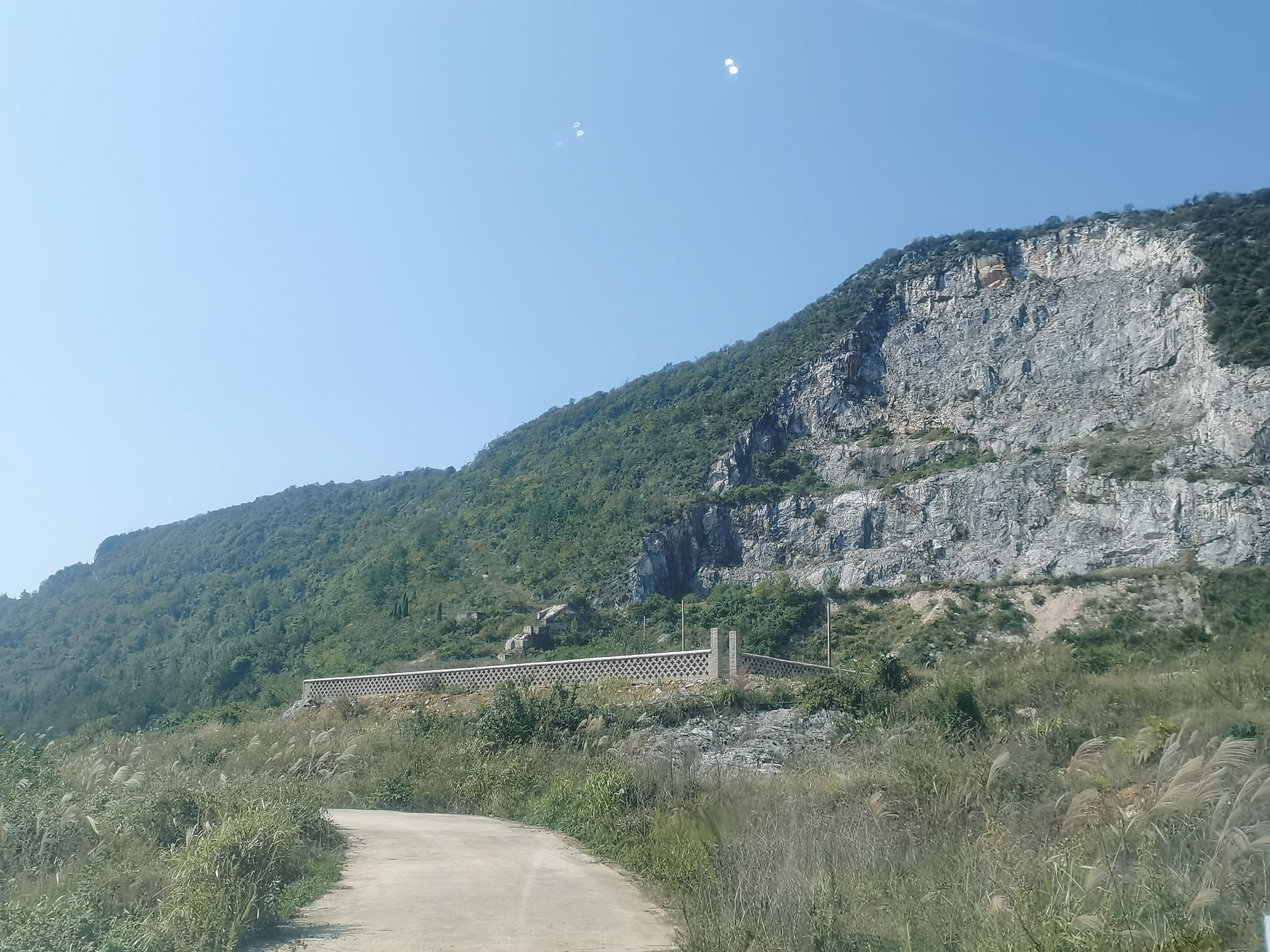 松林村湖边沙滩旅行图片 2