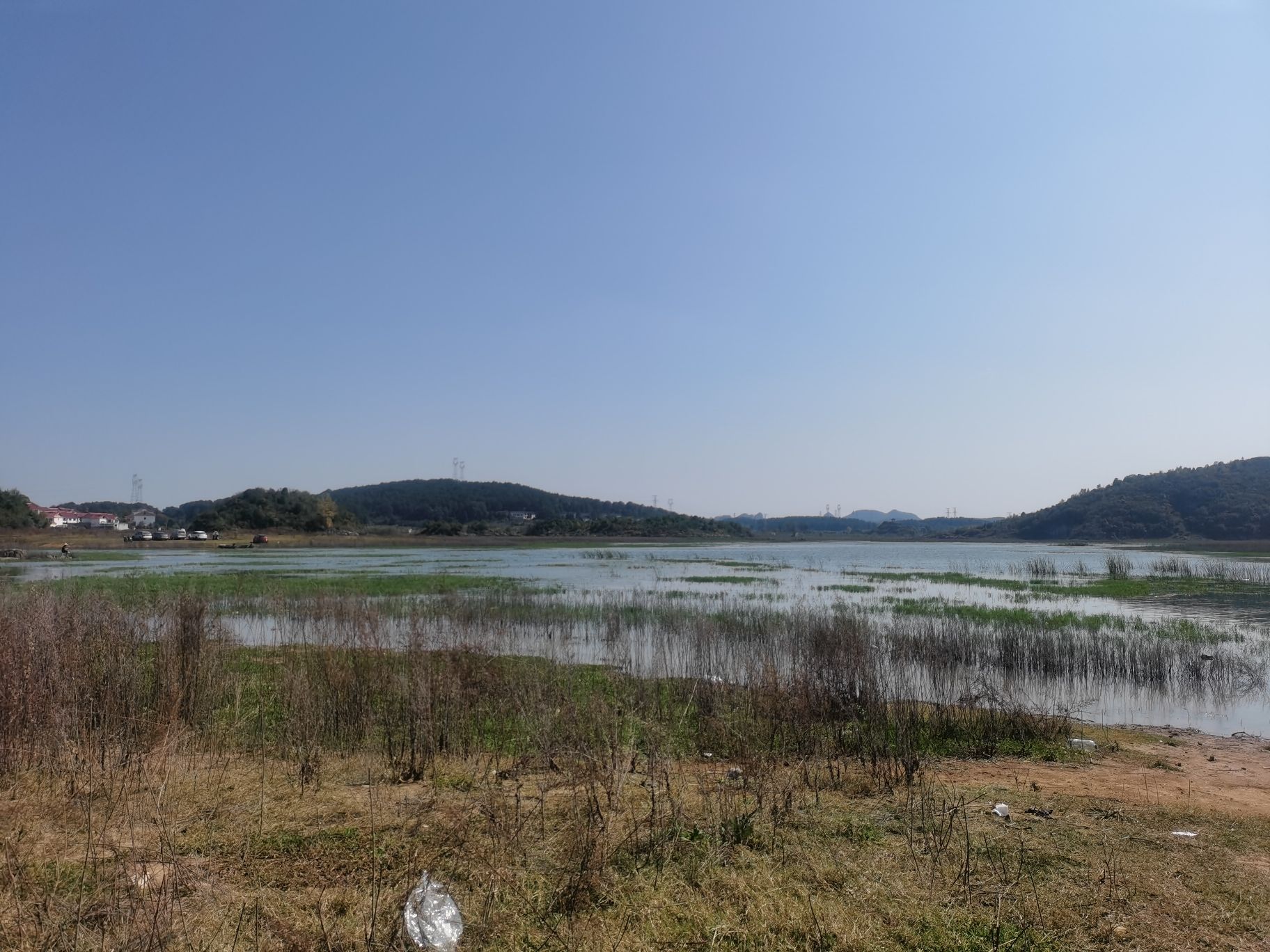 松林村湖边沙滩旅行图片 3