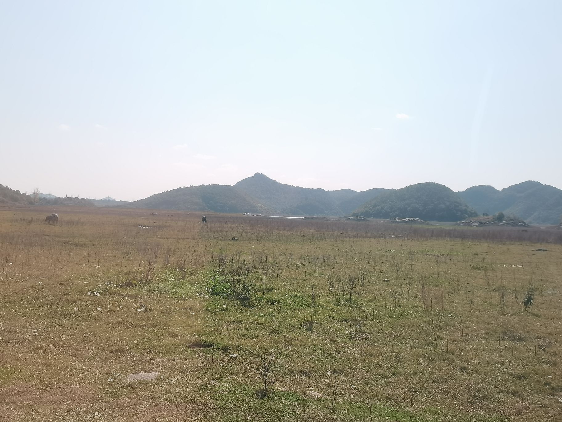 松林村湖边沙滩旅行图片 1