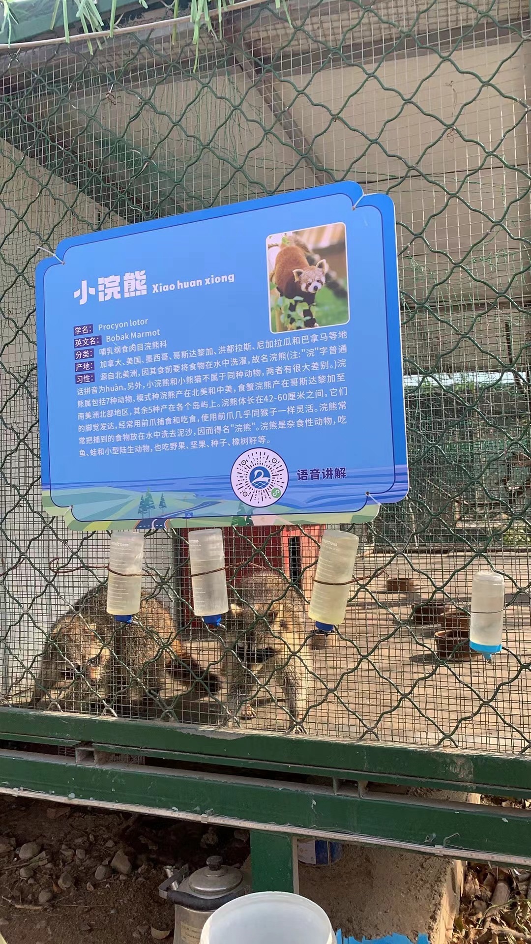 天鹅湖伊河游园旅行图片 3