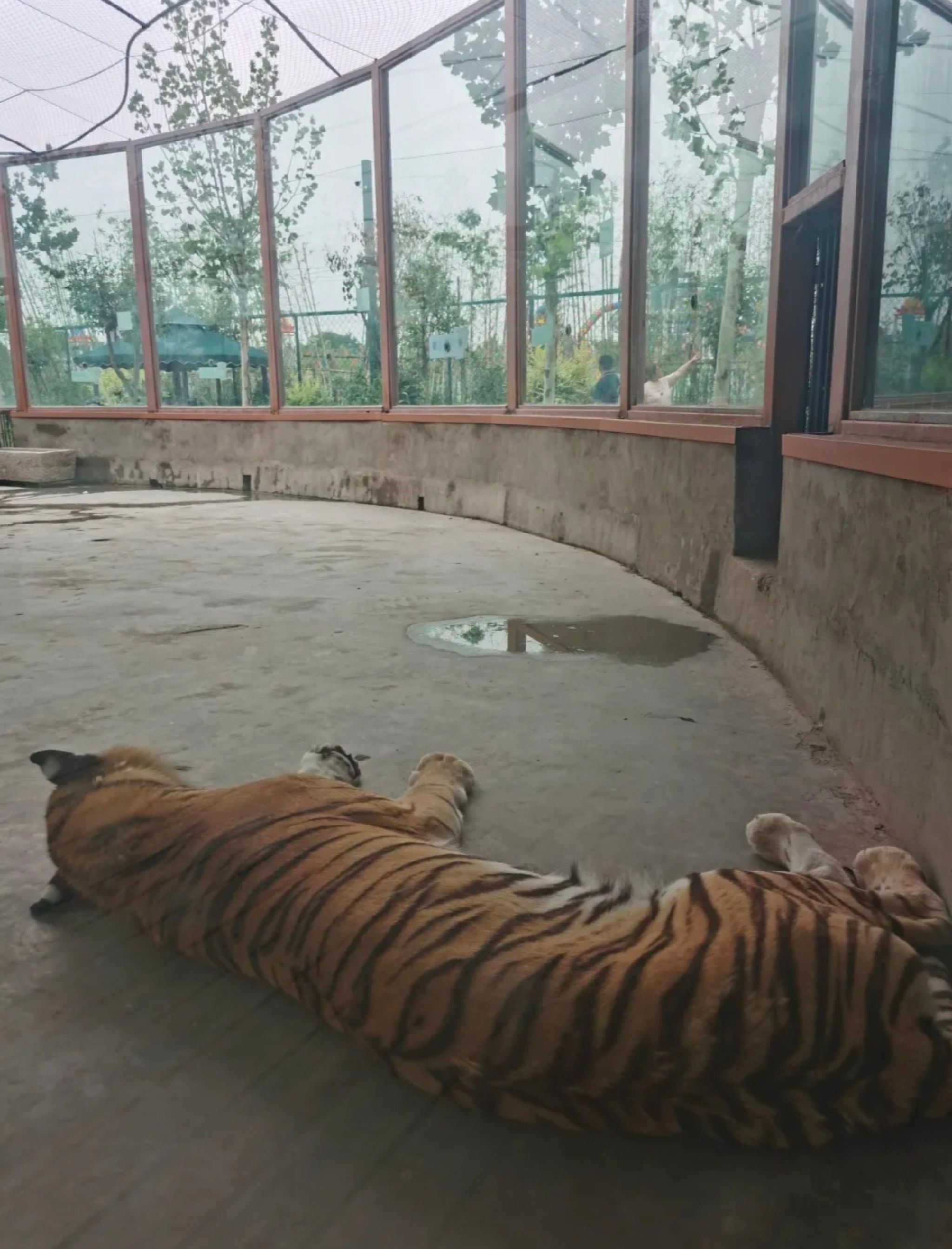天鹅湖伊河游园旅行图片 1