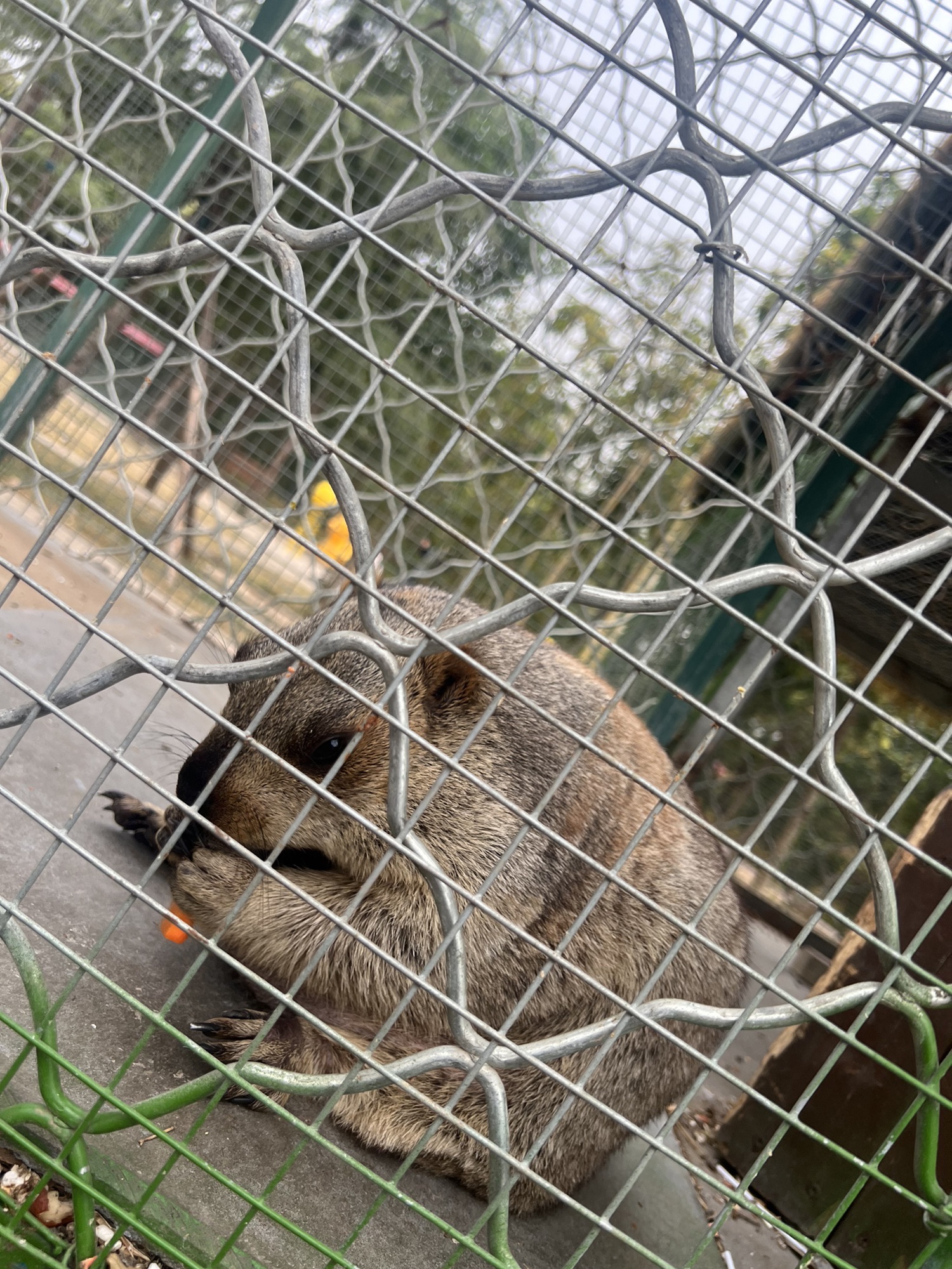 天鹅湖伊河游园旅行图片 1