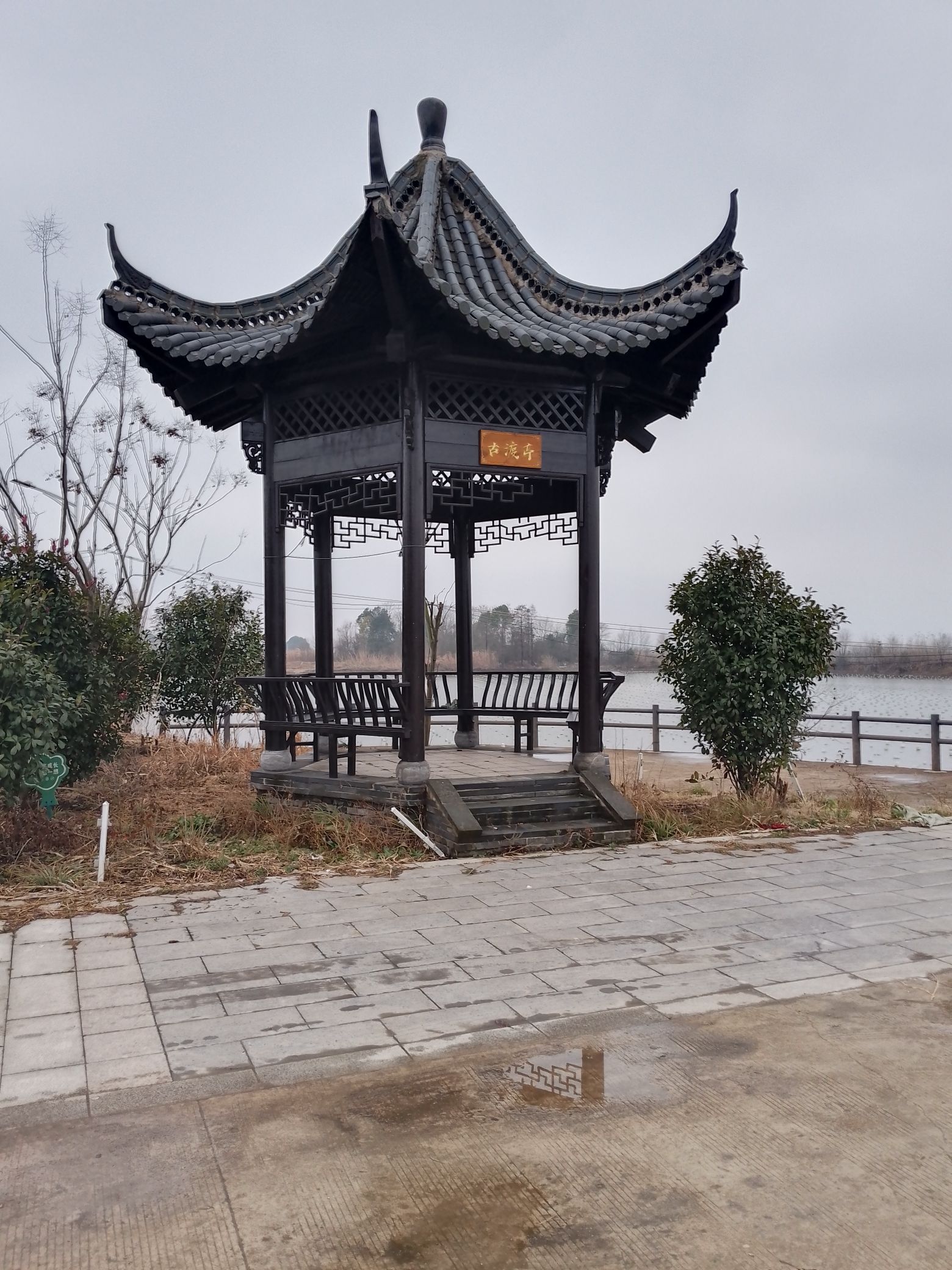 古渡亭旅行图片 2