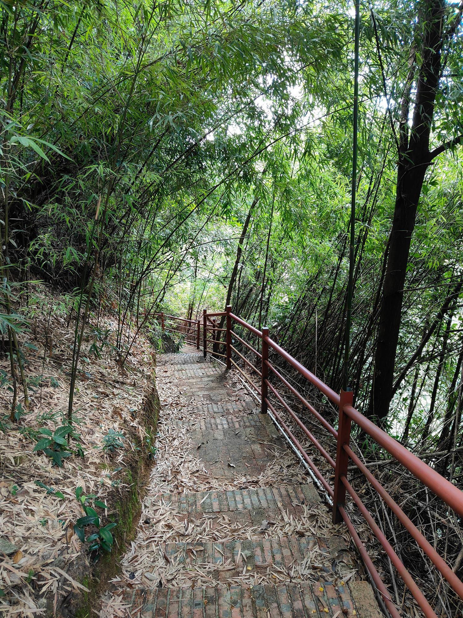 明悦小庐山景区旅行图片 3