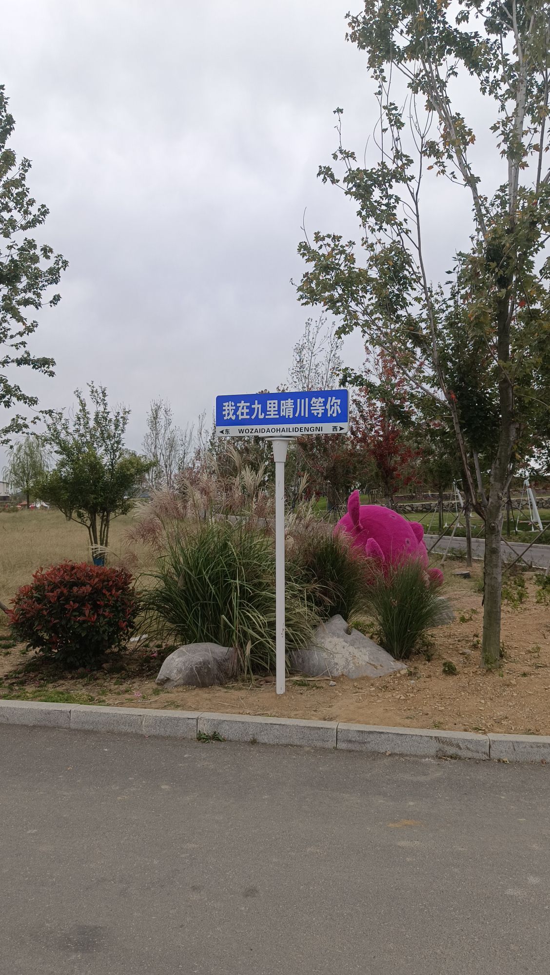 东方九里晴川旅行图片 2