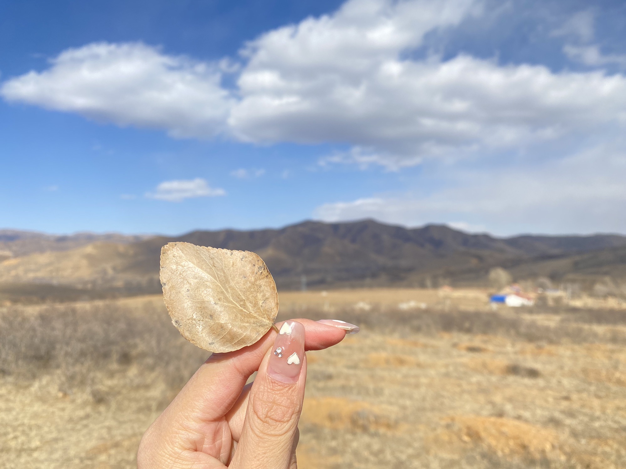 明星沟旅游区(暂停开放)旅行图片 3