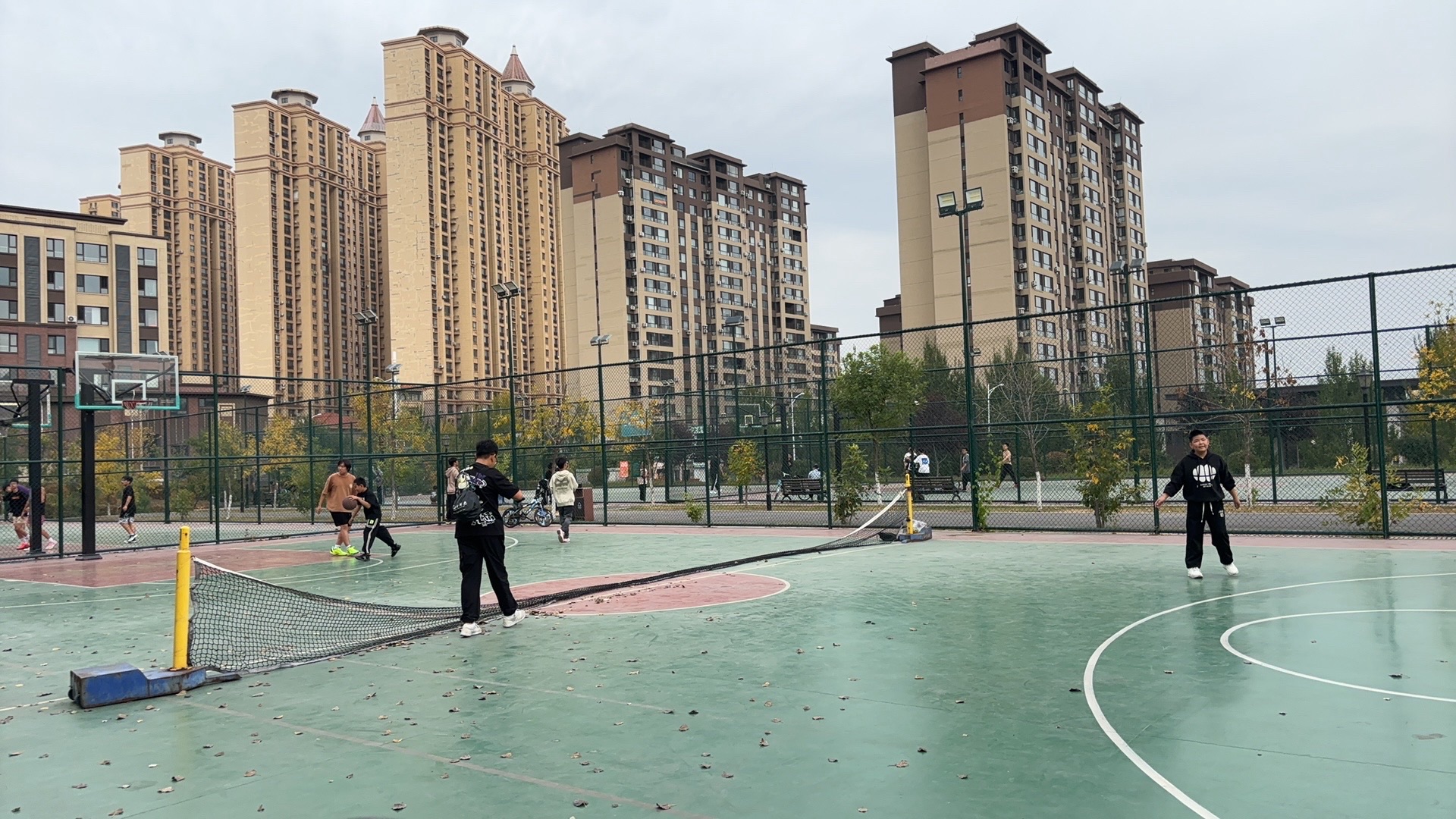 公园1953体育公园旅行图片 1