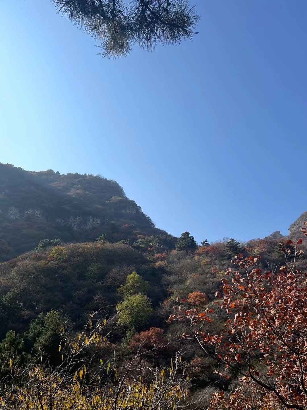 天桥山风景区旅行图片 1