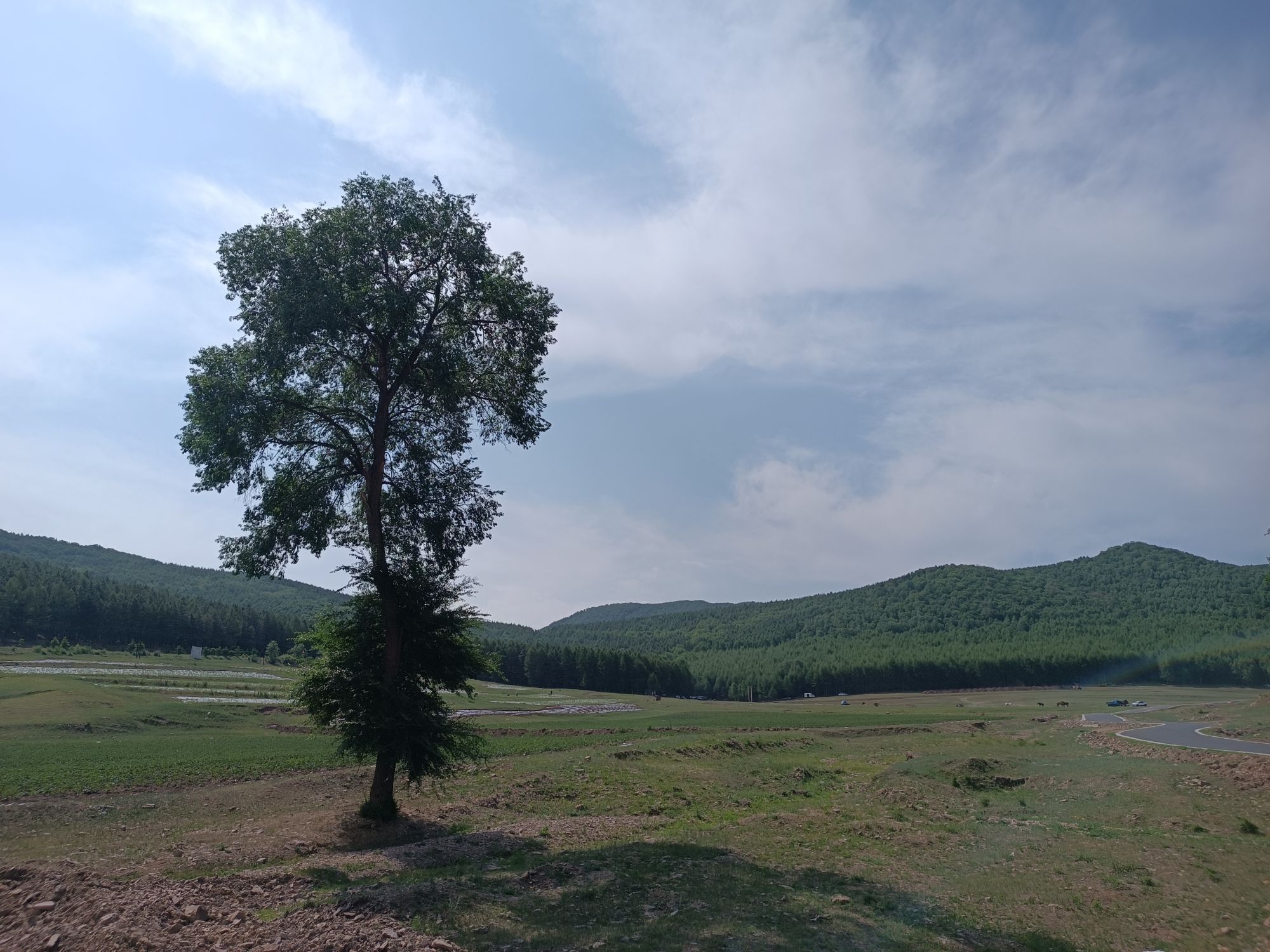 美林谷风景区绿道旅行图片 1