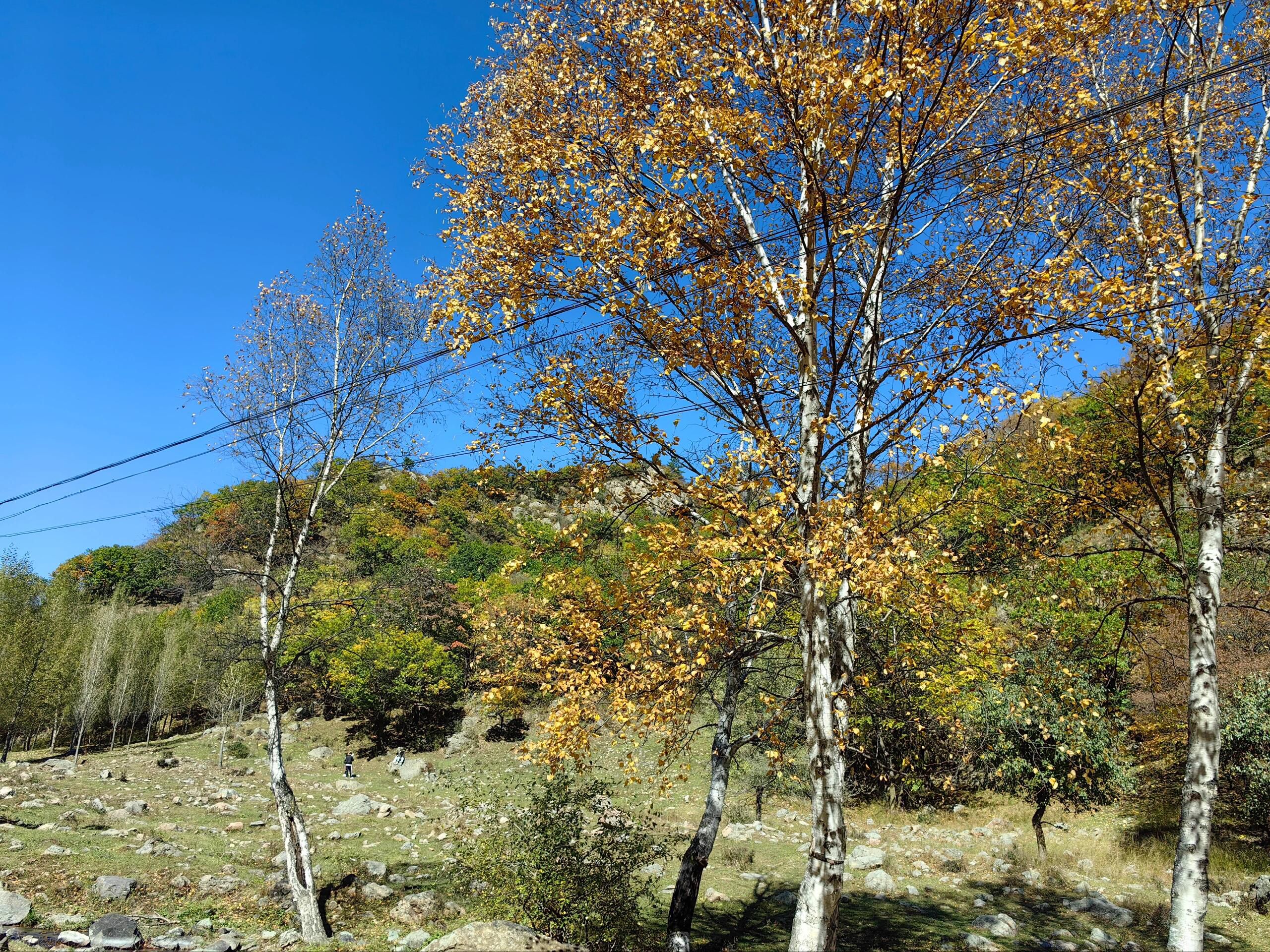 美林谷风景区绿道旅行图片 2