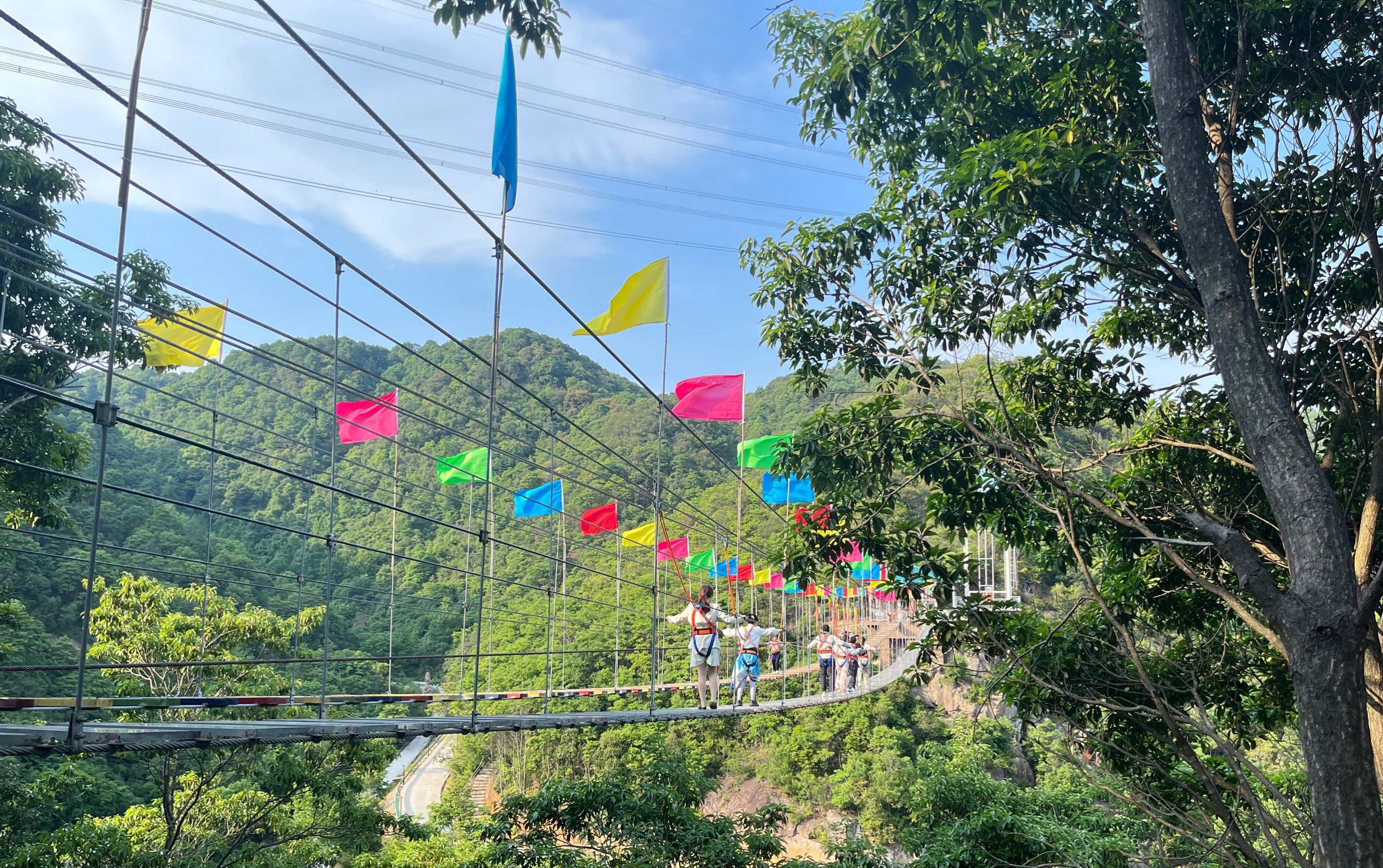 浙江省双尖山生态旅游景区旅行图片 2