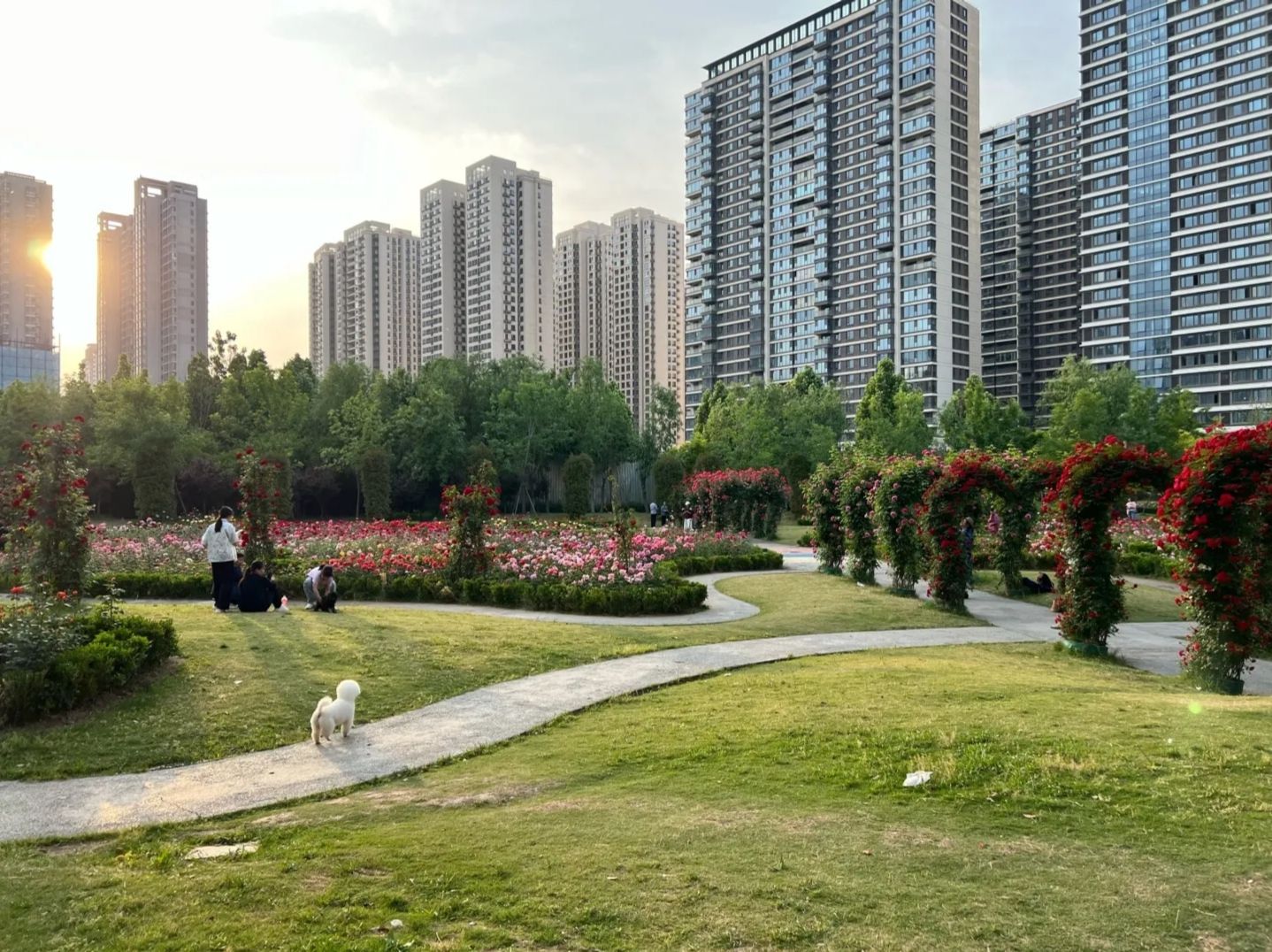金水·环岛公园旅行图片 2