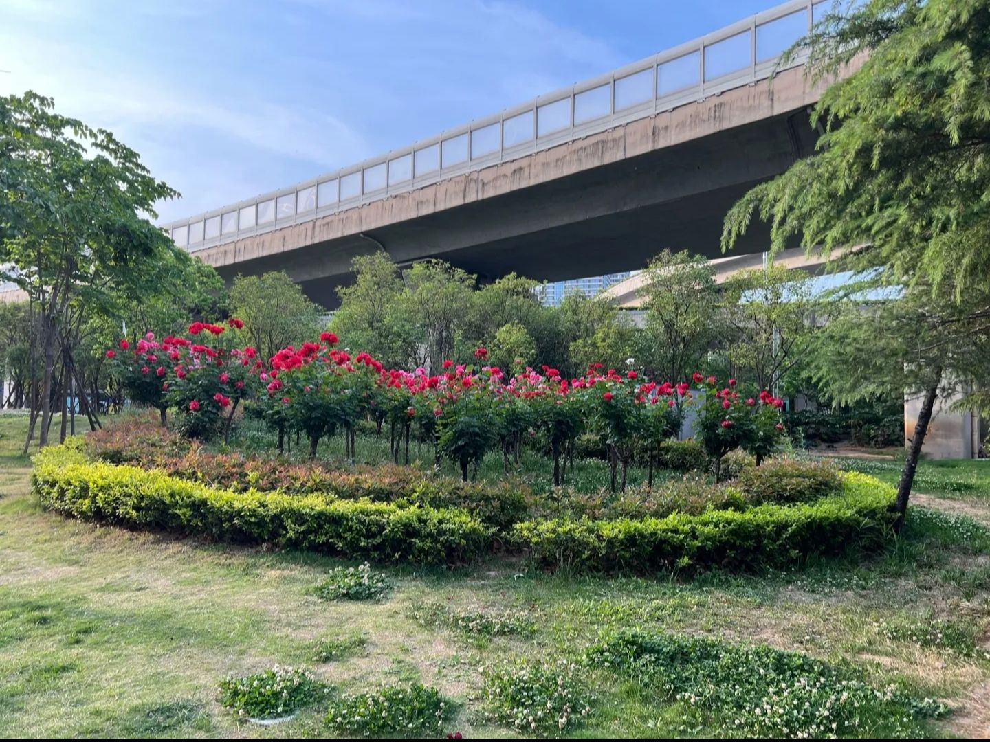 金水·环岛公园旅行图片