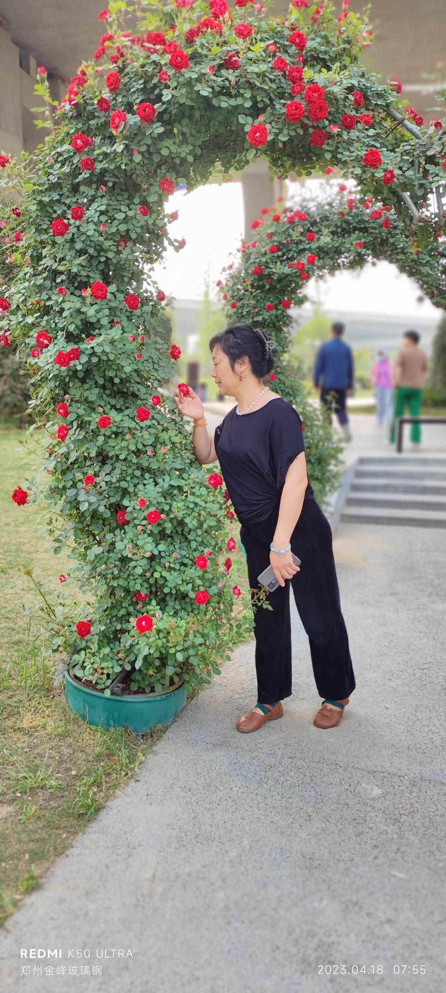 金水·环岛公园旅行图片