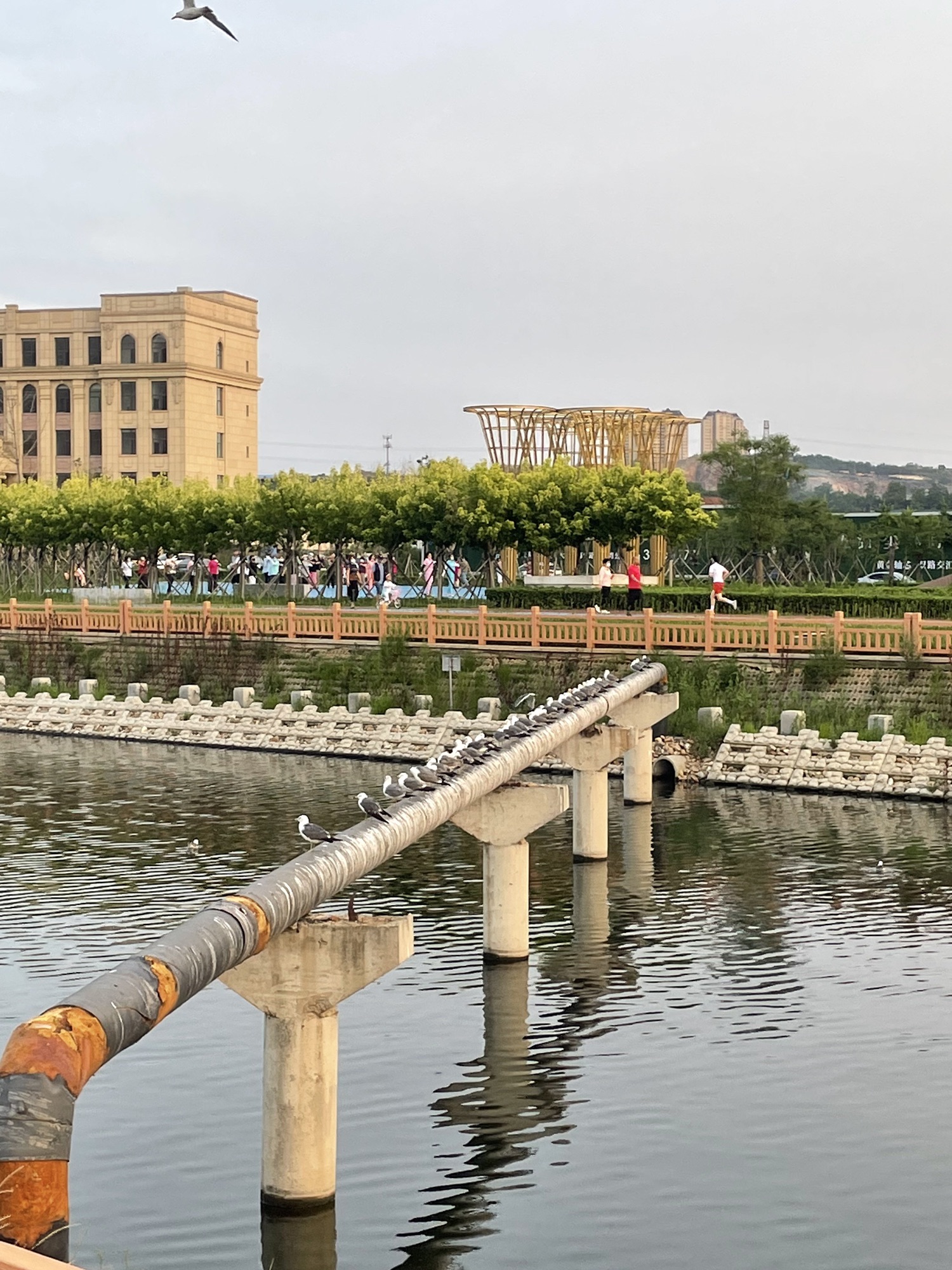 泉水河公园旅行图片 3