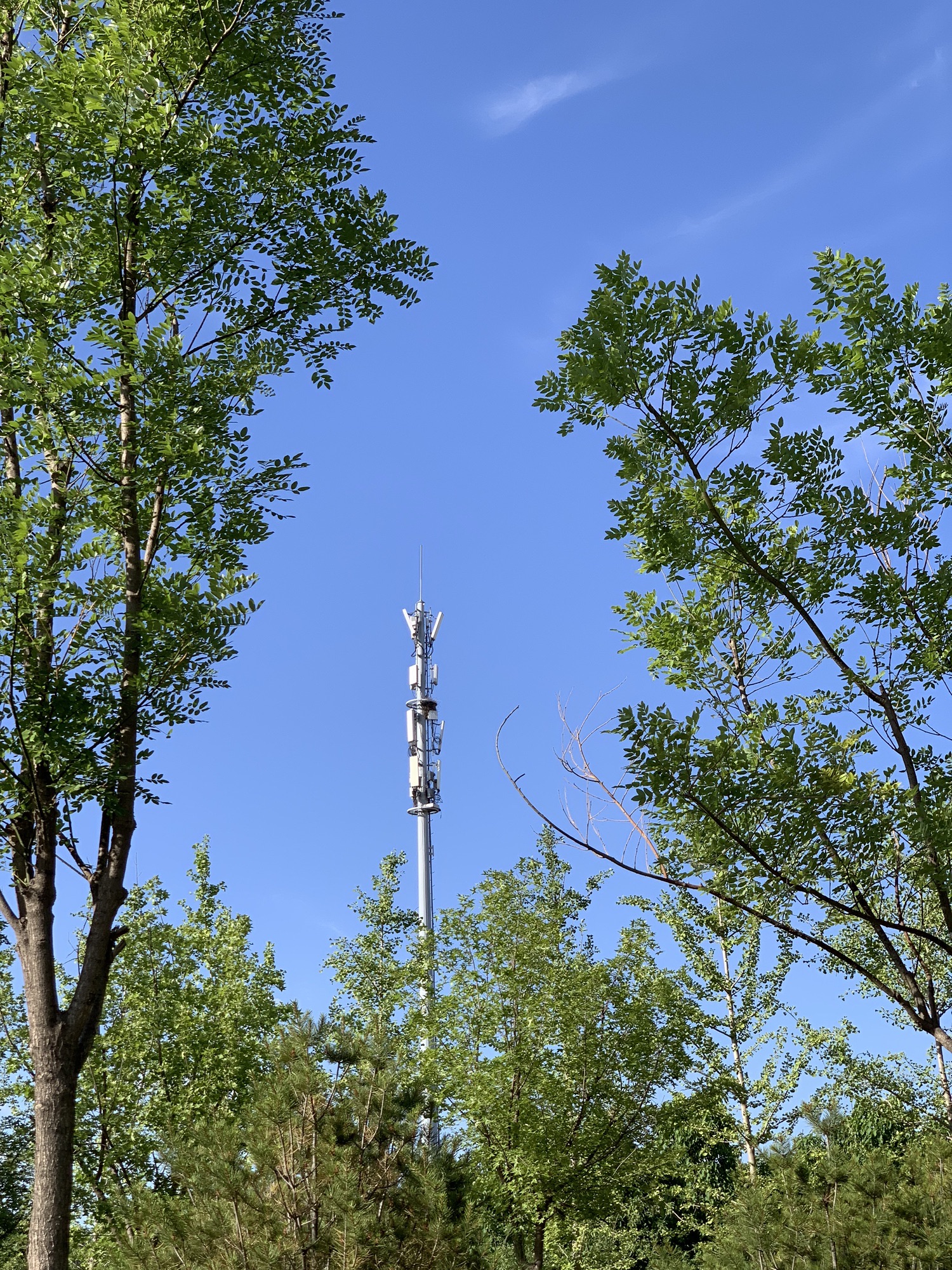 东三旗村郊野公园旅行图片 2