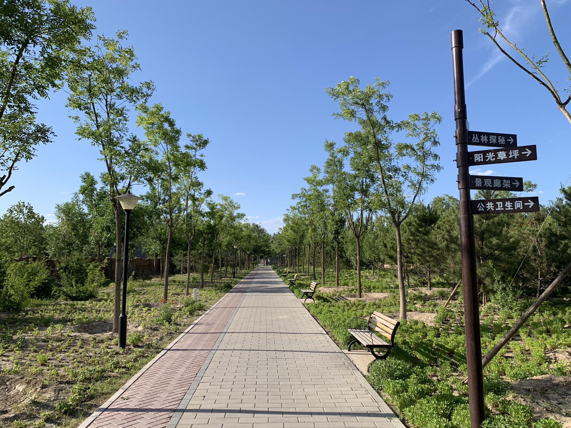东三旗村郊野公园旅行图片 1